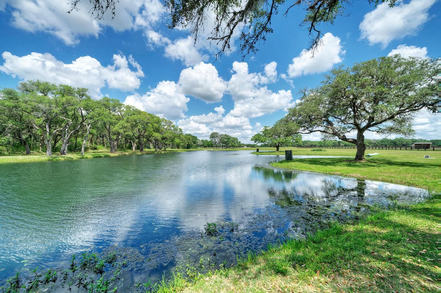 70 Acres, 13457 Frantz Rd, Cat Spring, TX 78933 Land and Farm