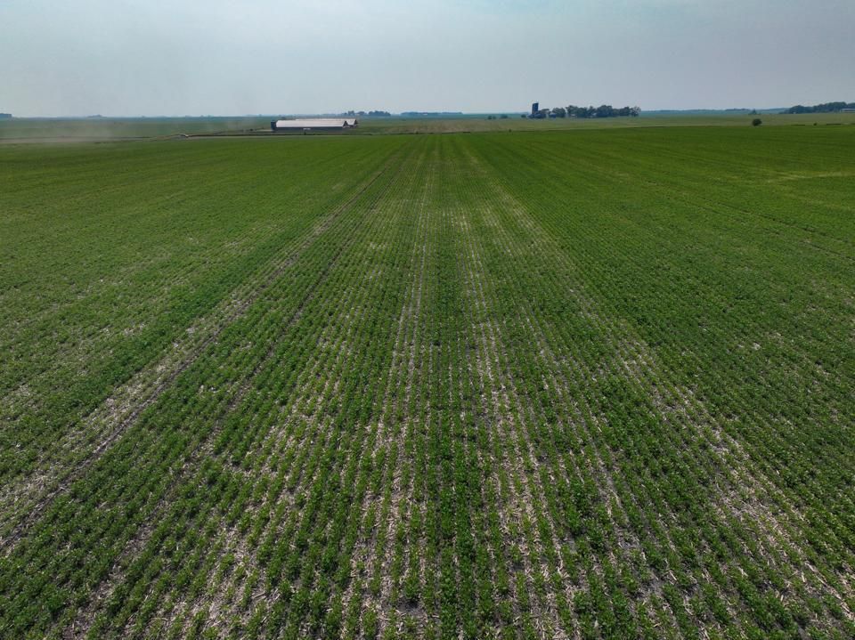 117 Acres, 500th Street, Mallard, IA 50554 Land and Farm