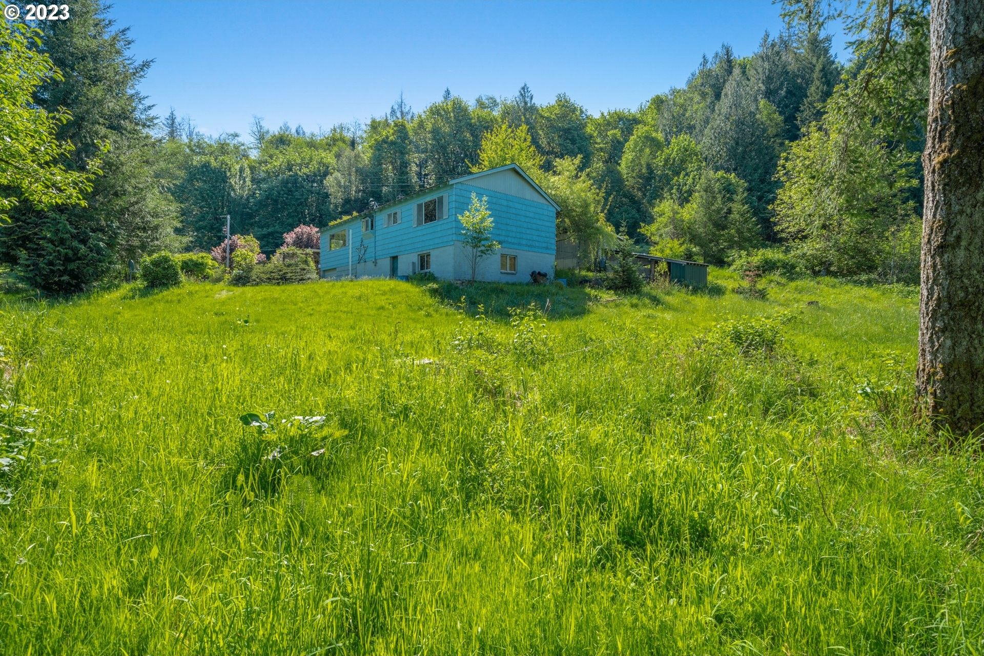 20 Acres, 43400 NE 278TH AVE, Amboy, WA 98601 Land and Farm