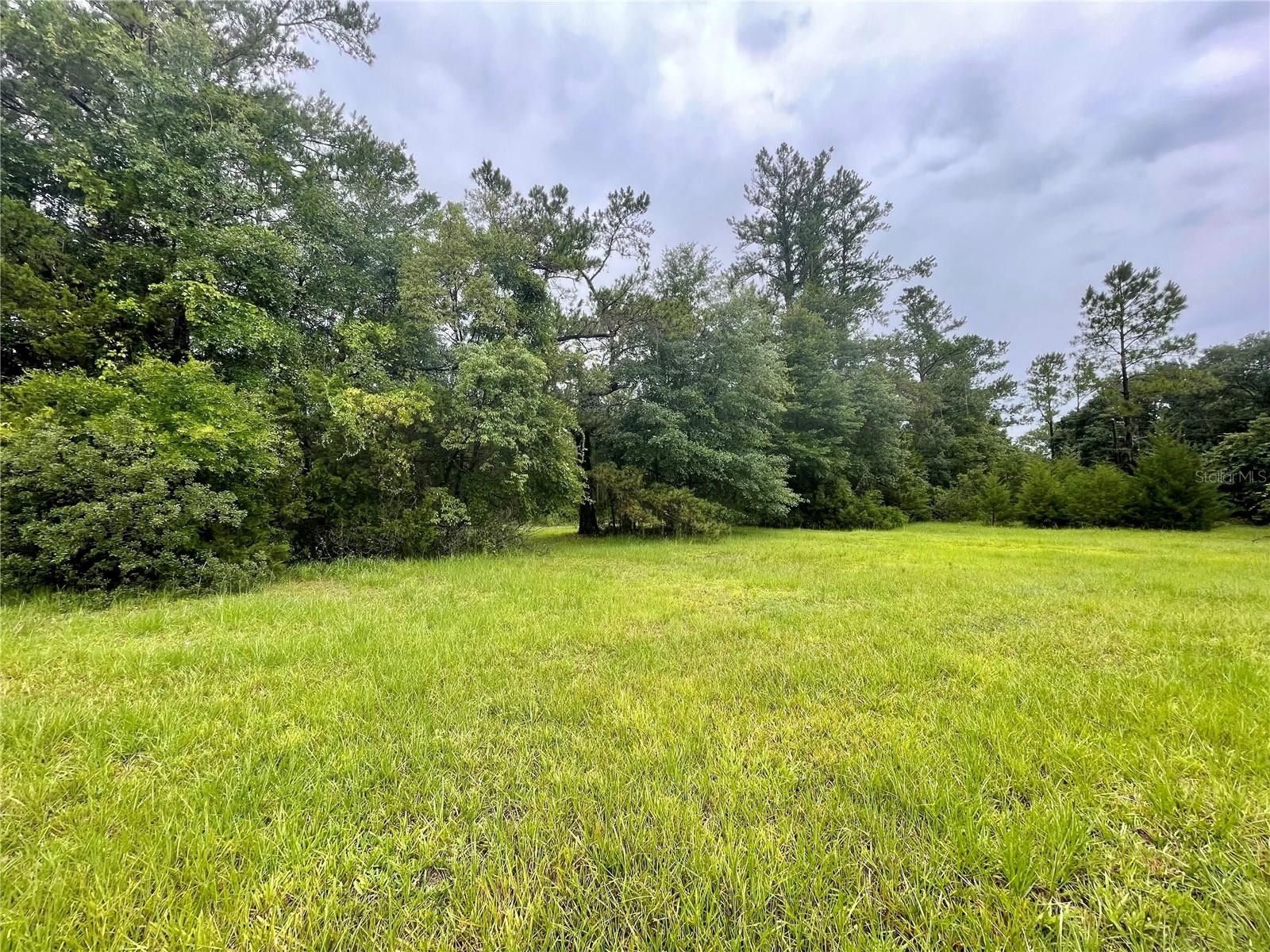 5.45 Acres, 5515 SE 223RD STREET, Hawthorne, FL 32640 Land and Farm