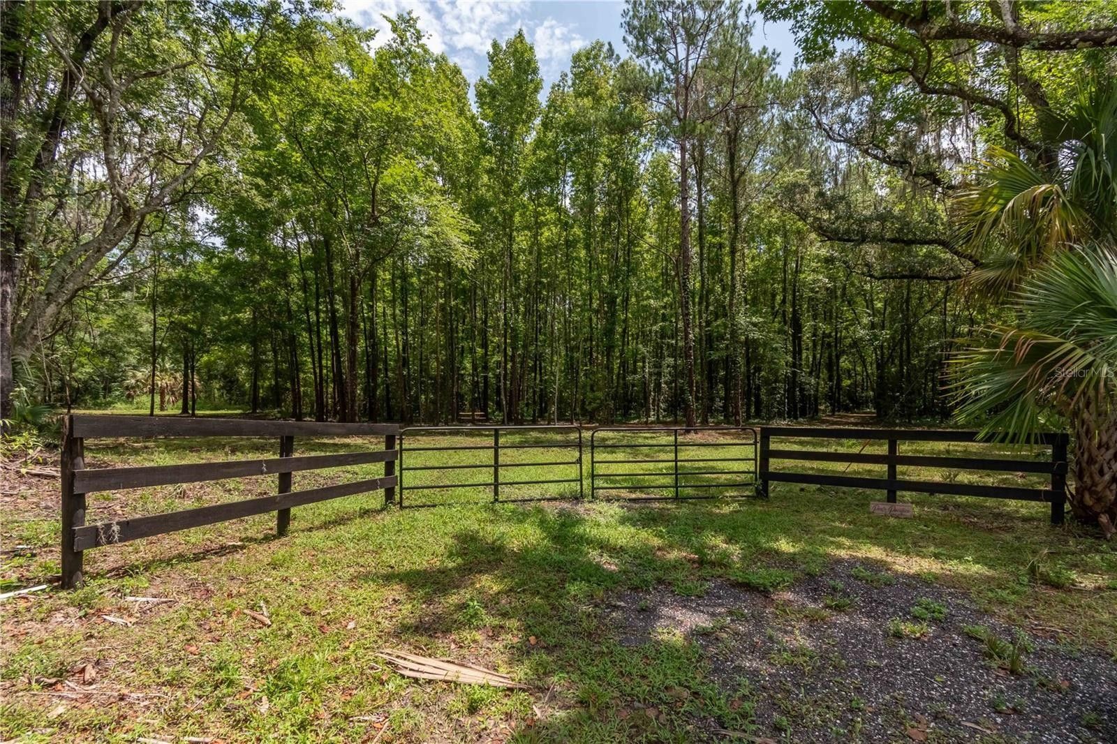 10 Acres, 9101 W NW 197TH PLACE, Micanopy, FL 32667 Land and Farm