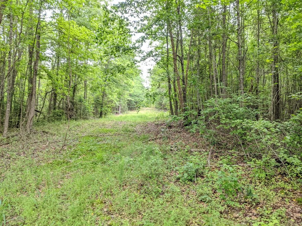 15.57 Acres, 00 HWY 25 N, Ware Shoals, SC 29692 Land and Farm