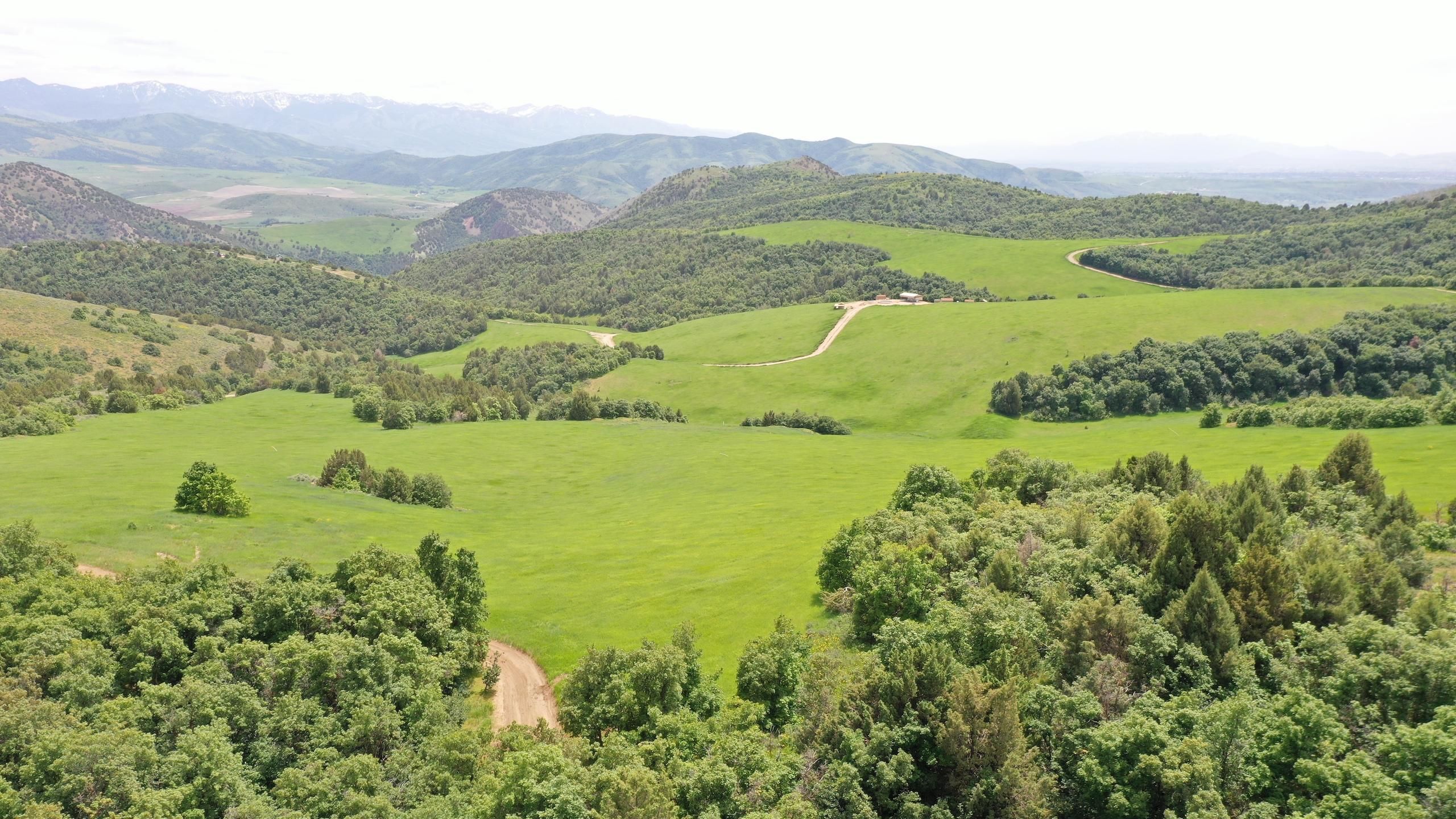 Oneida Narrows Road, LotWP001, Preston, ID 83263 Land and Farm