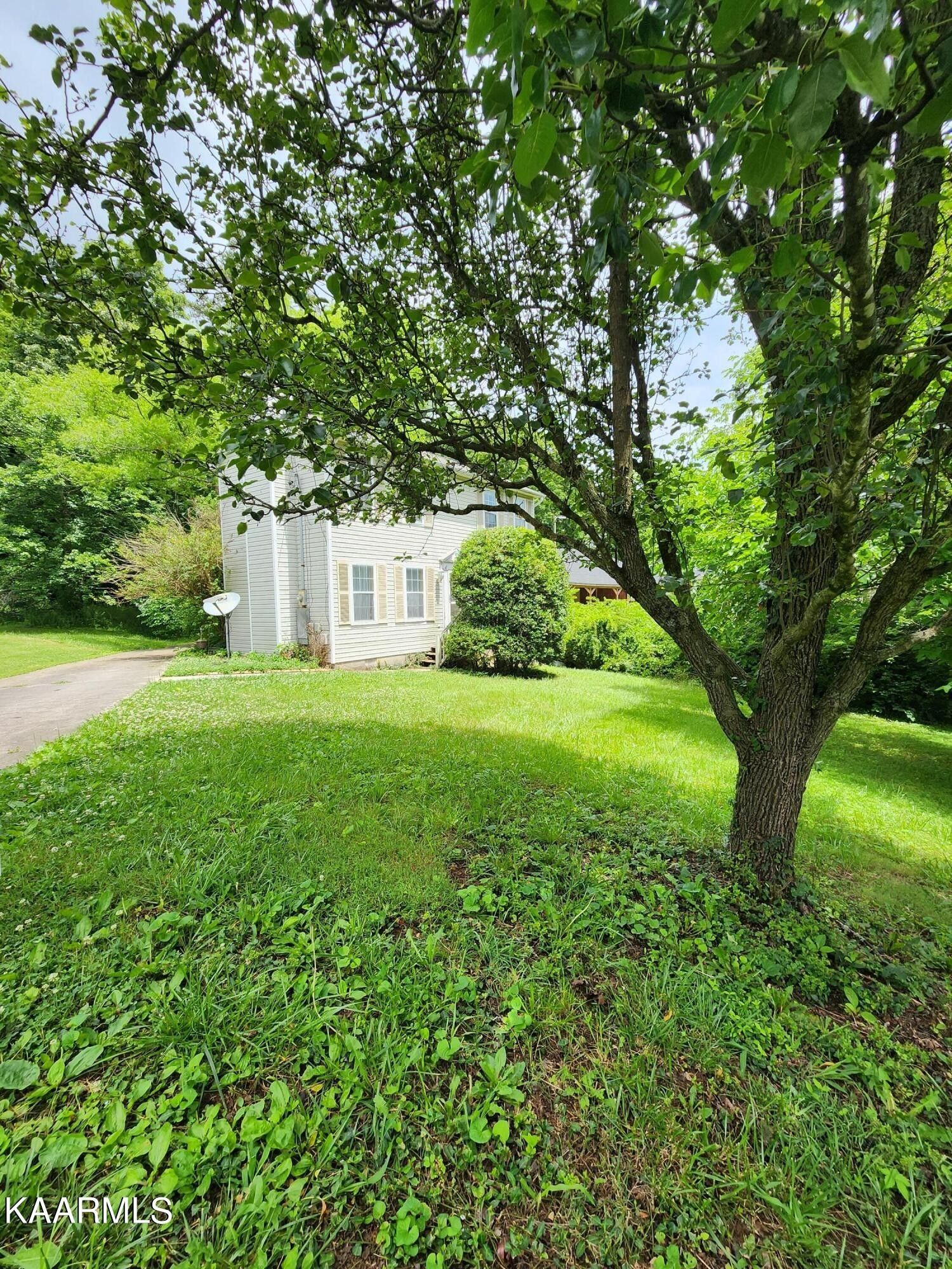 0.55 Acres, 1405 Wilson Rd, Knoxville, TN 37912 Land and Farm