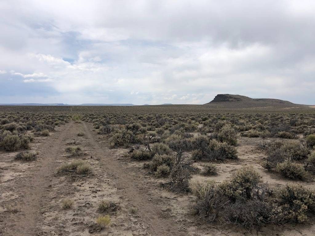 78.62 Acres, APN 06626065, Gerlach, NV 89412 Land and Farm