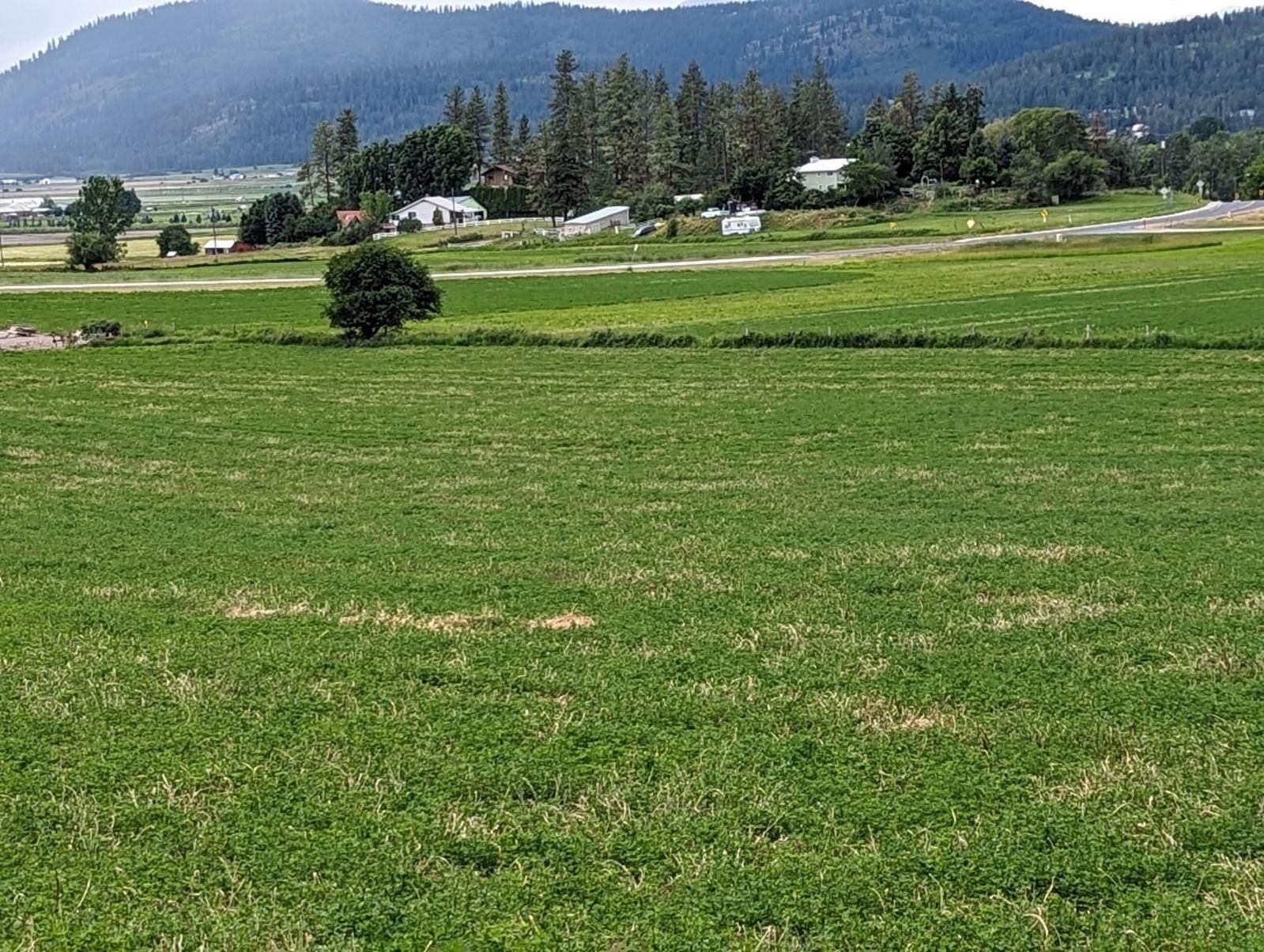 4.38 Acres, Xx Flowery Trail, Chewelah, WA 99109 Land and Farm