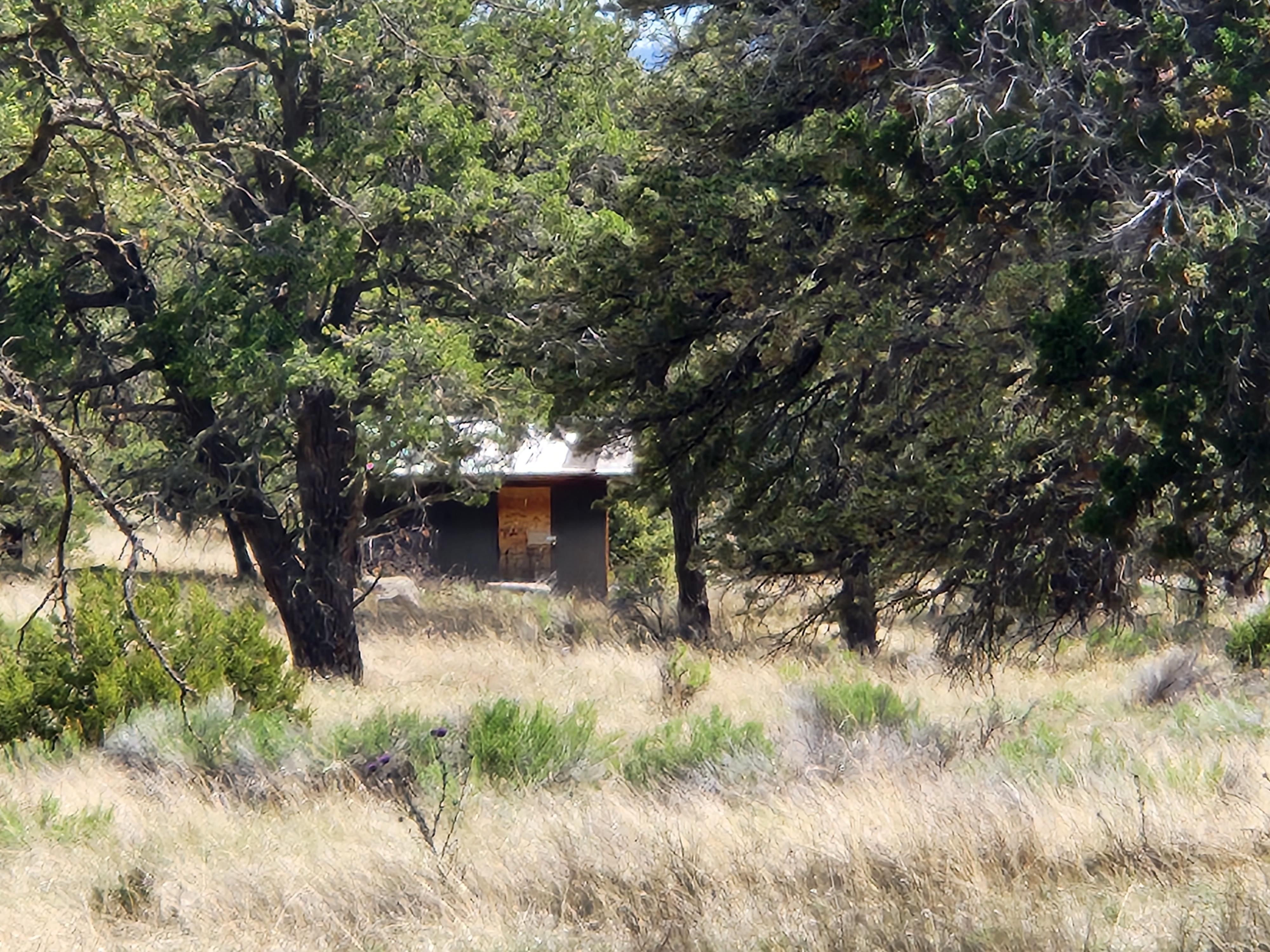 14.56 Acres, 465 Starfire Drive, Quemado, NM 87829 Land and Farm