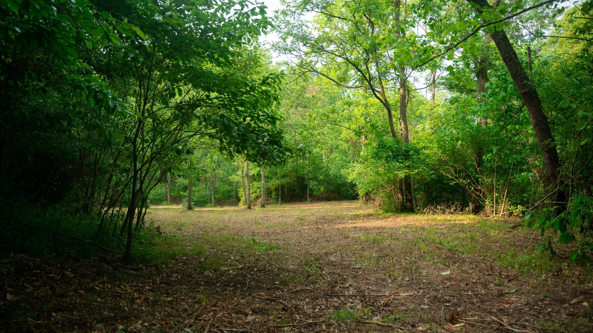 Spencer Road, Ray, OH 45672 MLS Jackson County Ohio Land for Sale