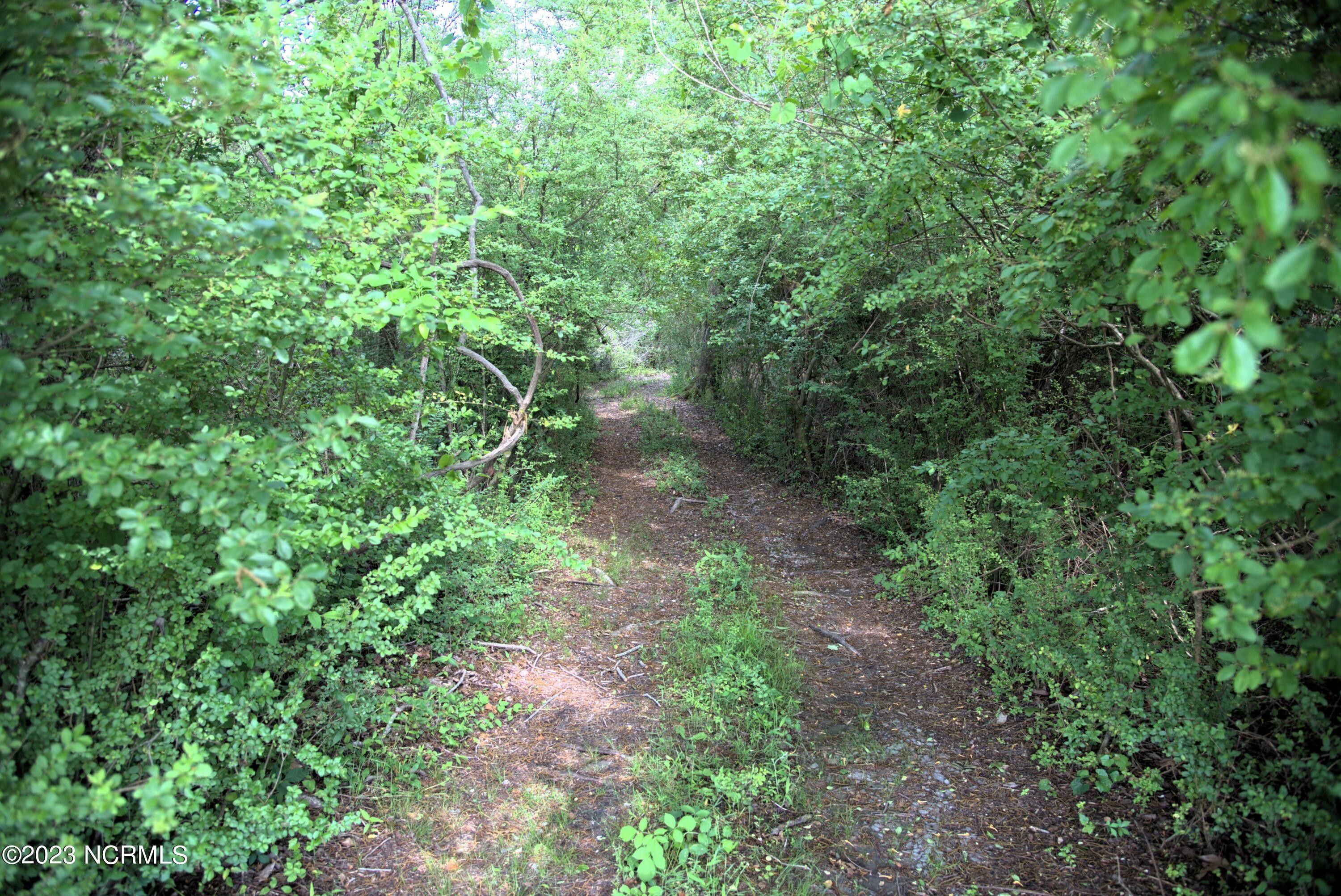 32 Acres, 0 W Howard Avenue, Tarboro, NC 27886 Land and Farm