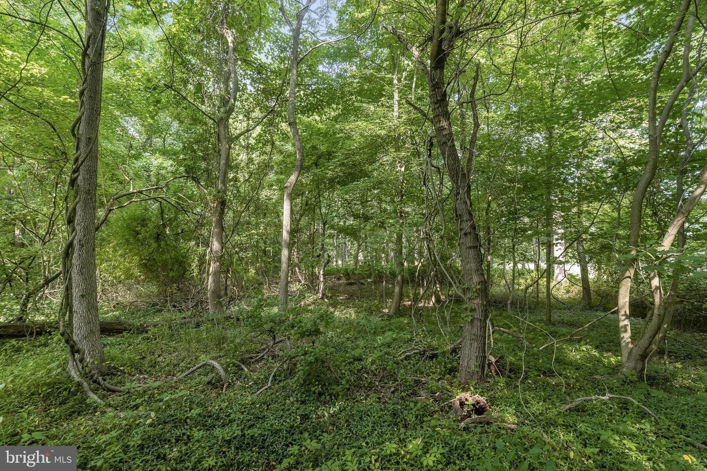 5.75 Acres, 000 WAMPLER RD, Middle River, MD 21220 Land and Farm