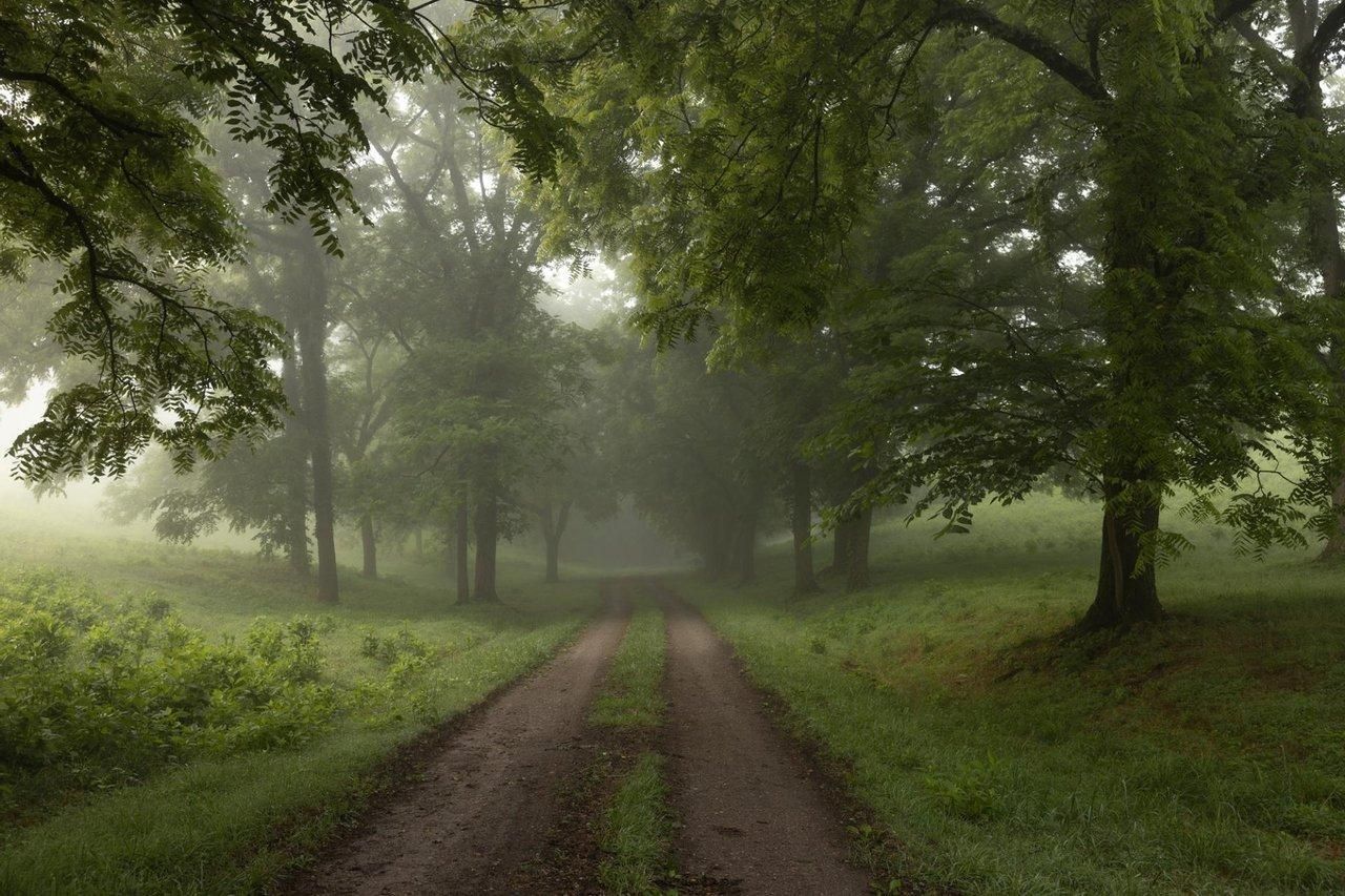 162 Acres, 590 Bluebird Lane, Pulaski, TN 38478 Land and Farm