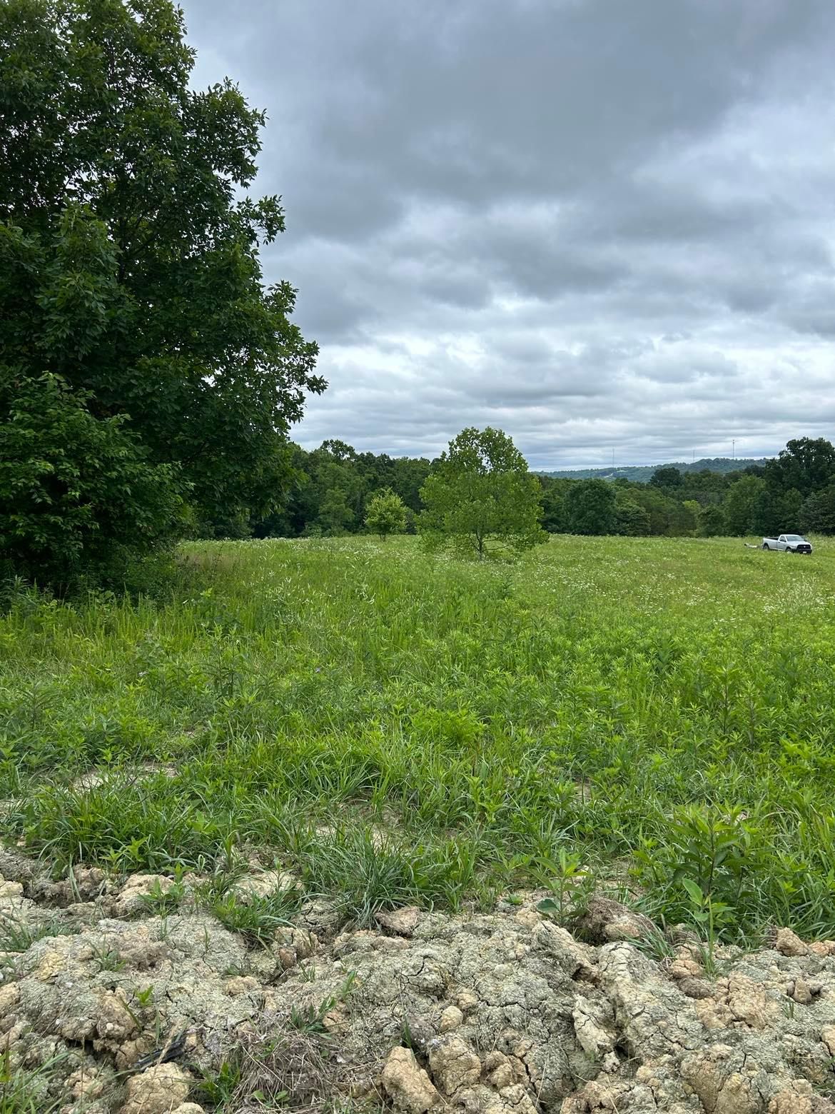 James Road, Flemingsburg, KY 41041 MLS James1 Land and Farm