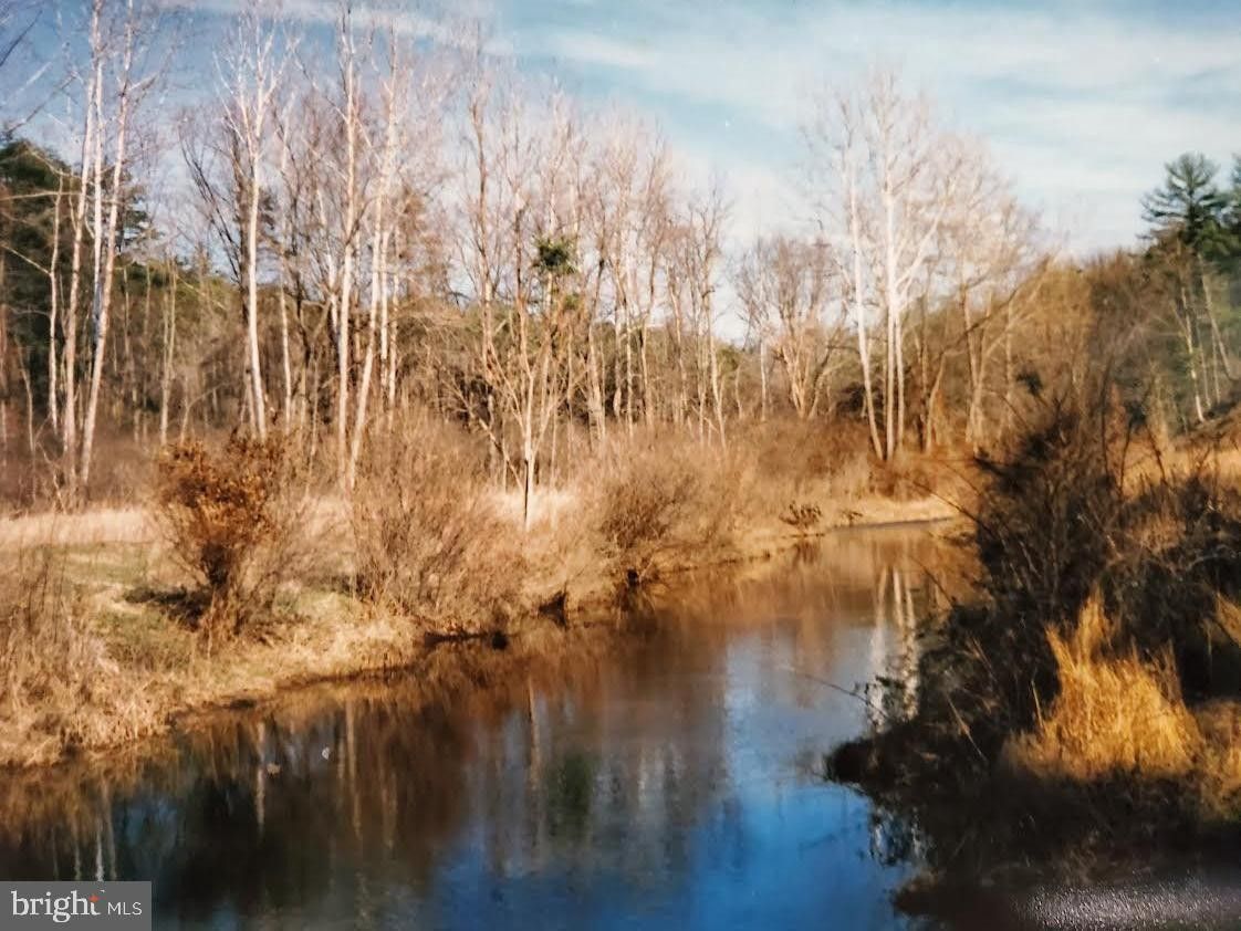 108 Acres, 365 PANGLETOWN TRAIL, Winchester, VA 22602 Land and Farm