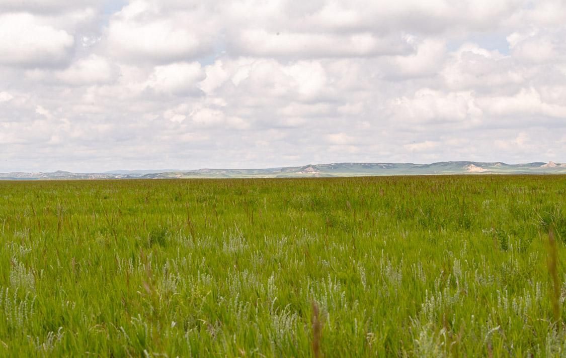 74 Blue Rock Road, Chugwater, WY 82210 Land and Farm