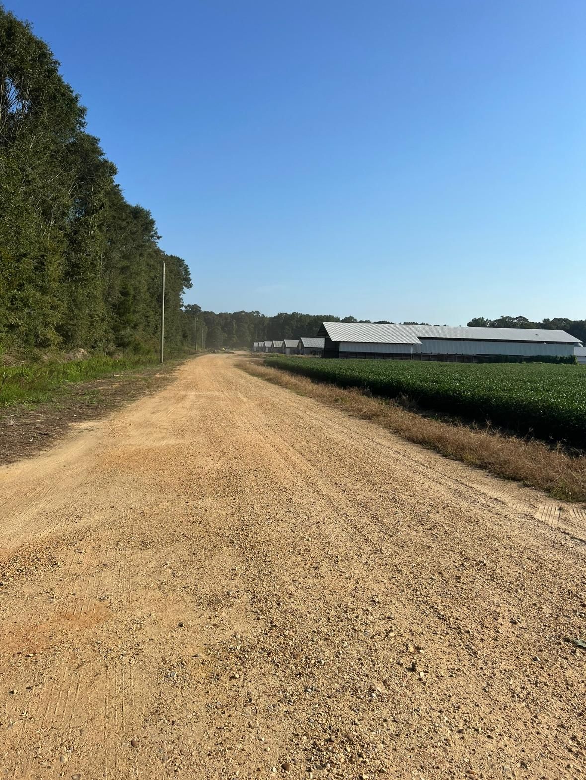 2088 Swamp Lane, Hazlehurst, MS 39083 MLS 4026370 Land and Farm
