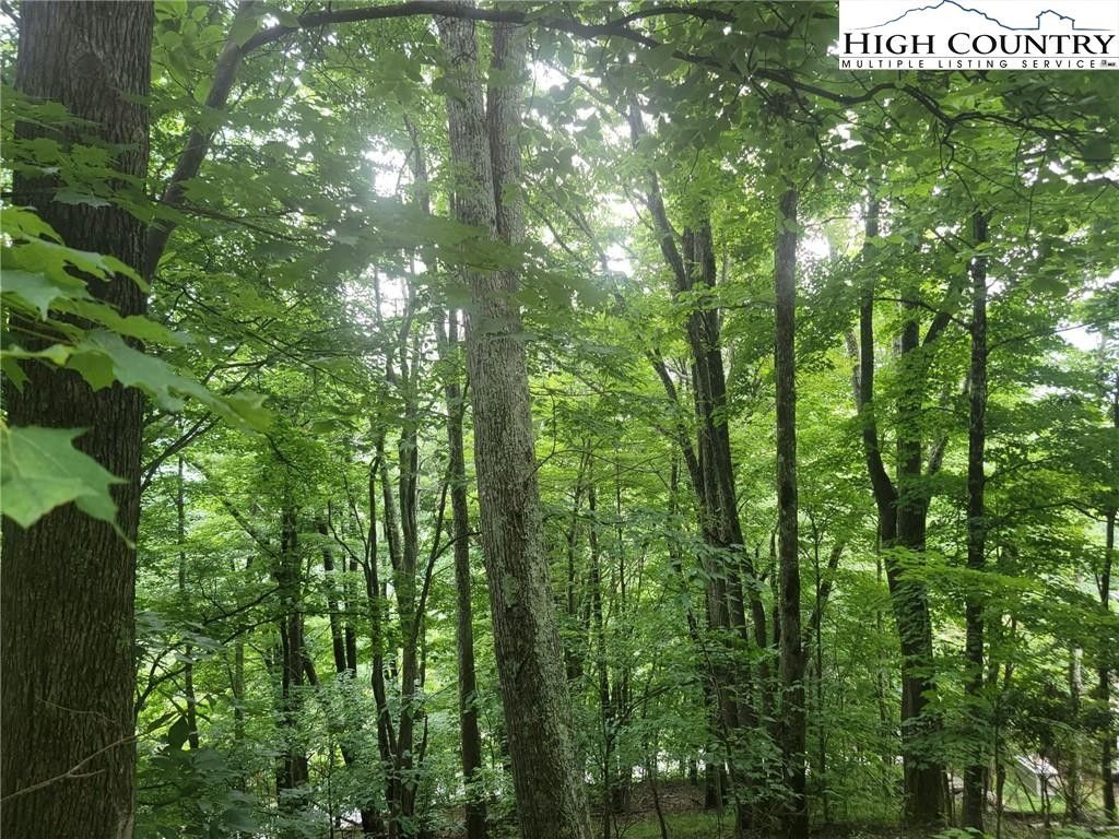 0.57 Acres, 1526 Chestnut Ridge Trail, Seven Devils, NC 28604 Land