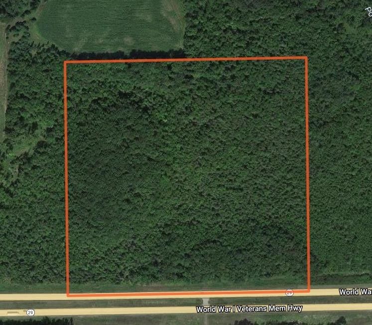 40 Acres, HWY 29, Bowler, WI 54416 Land and Farm