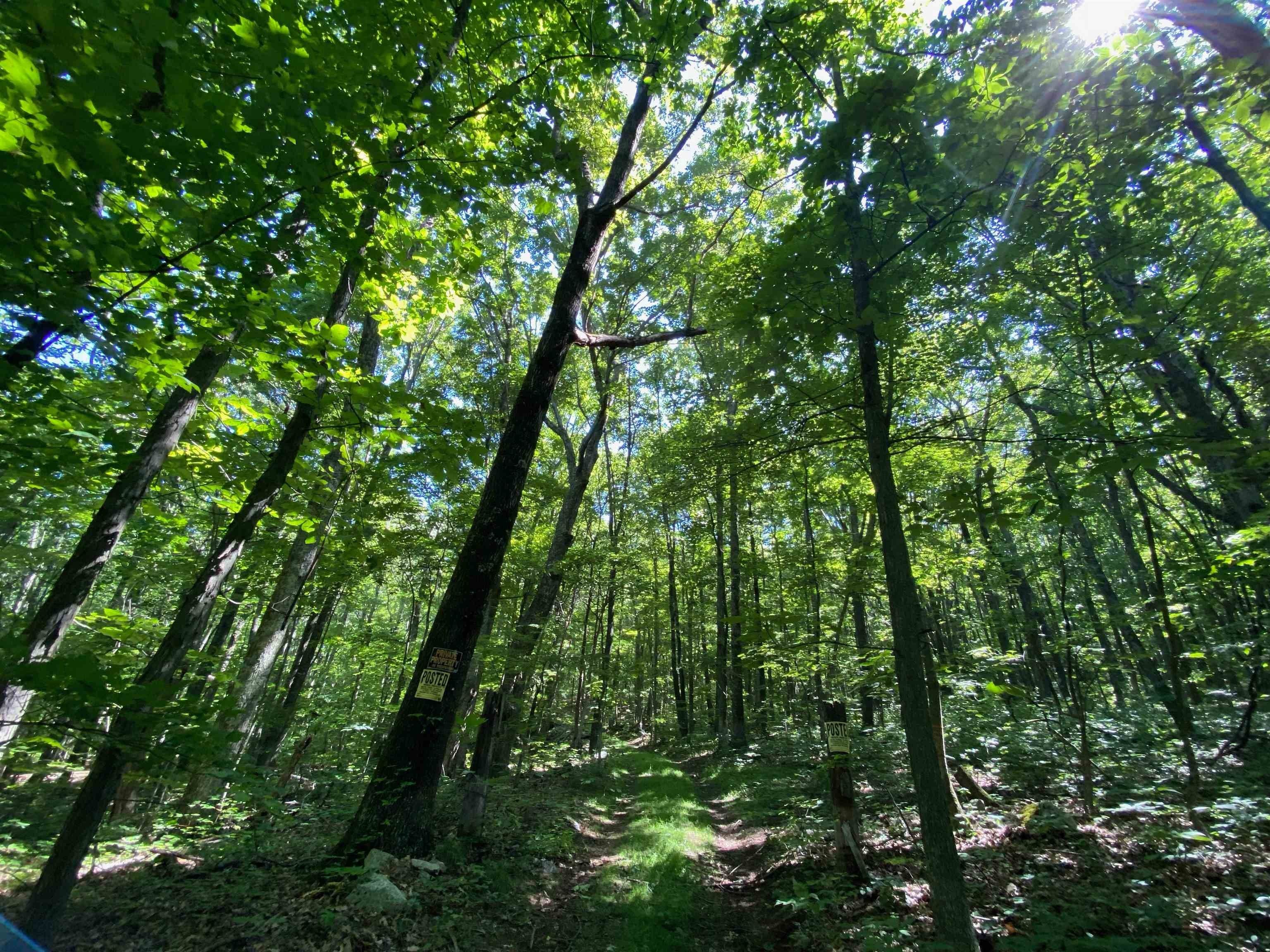 134.25 Acres, 0 MCGRAW GAP RD, Hot Springs, VA 24445 Land and Farm