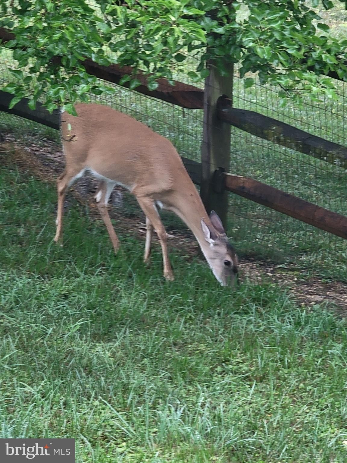 2.03 Acres, 3908 MILLSTONE CIRCLE, Monrovia, MD 21770 Land and Farm