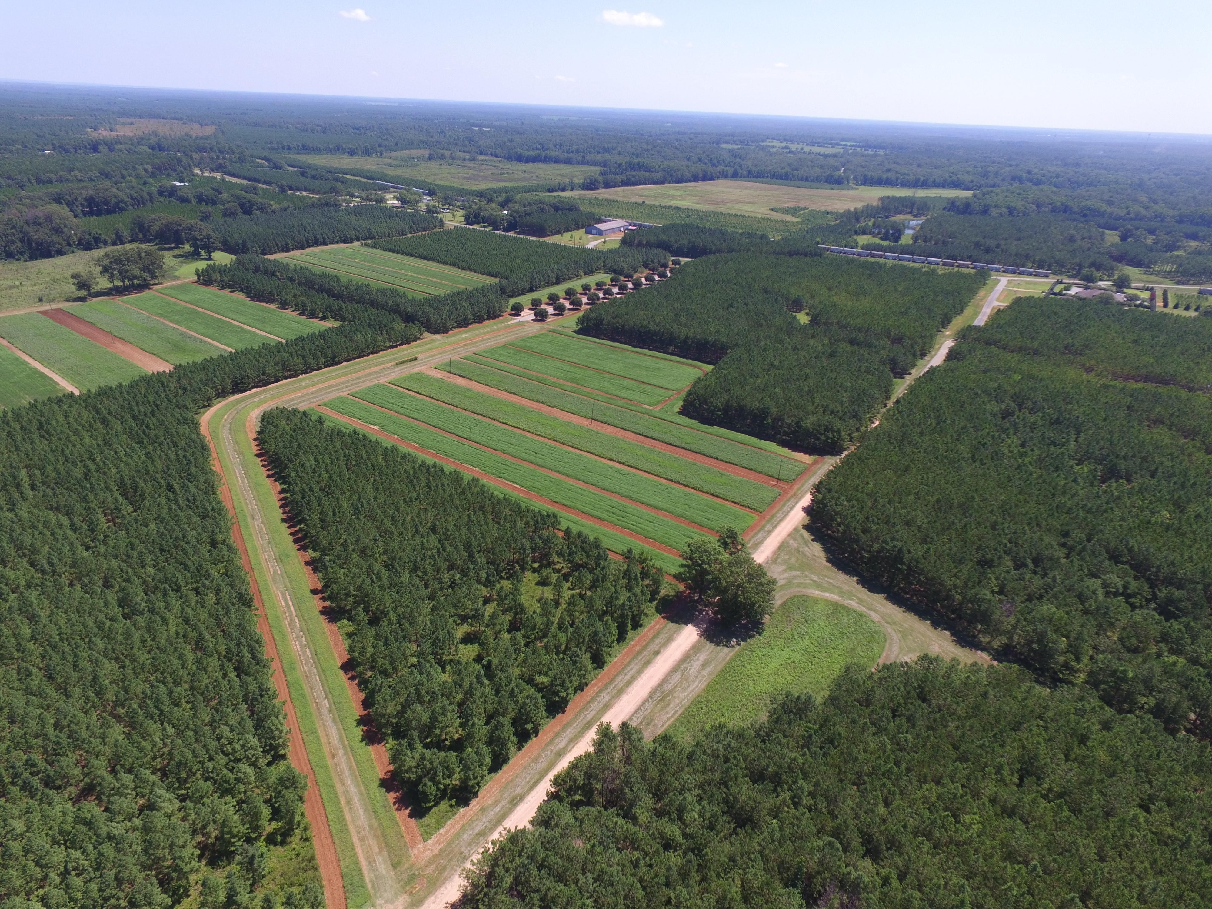 1,255 Acres, Cuthbert, GA 39840 Land and Farm