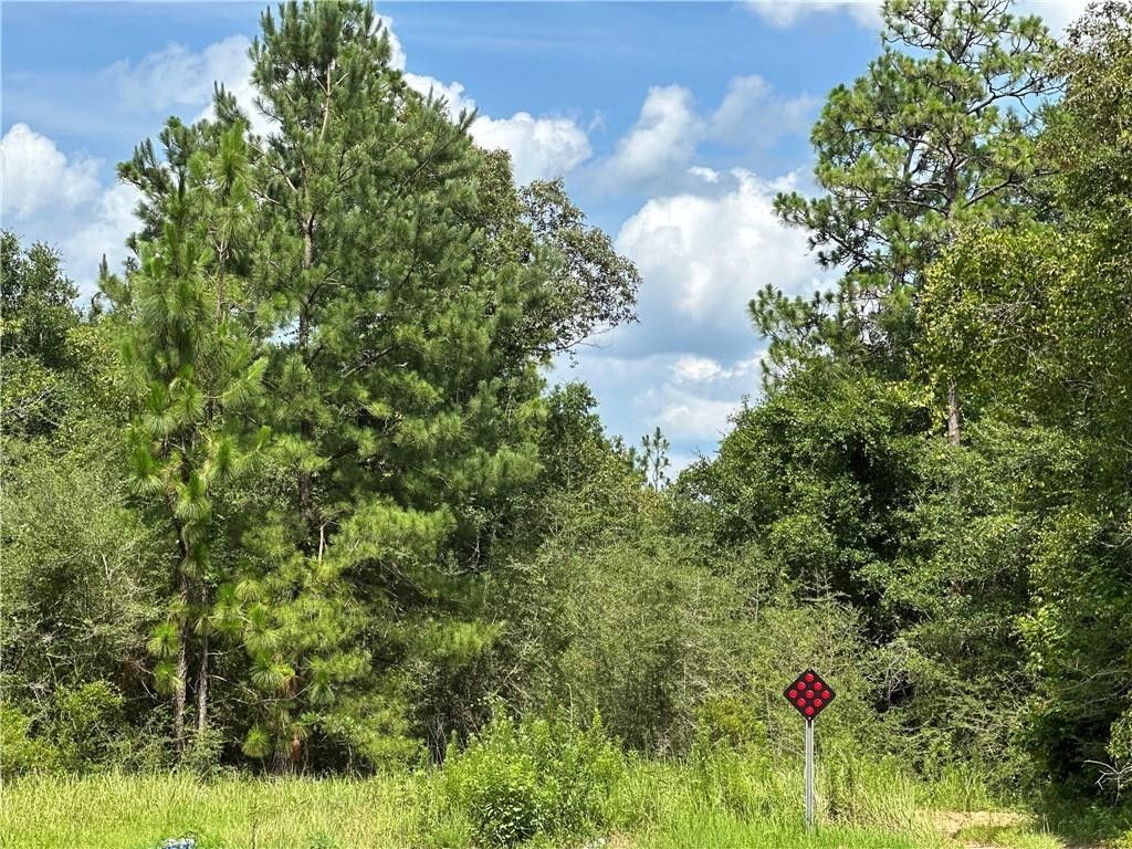 20 Acres, 00 Parker Road W, Eight Mile, AL 36613 Land and Farm
