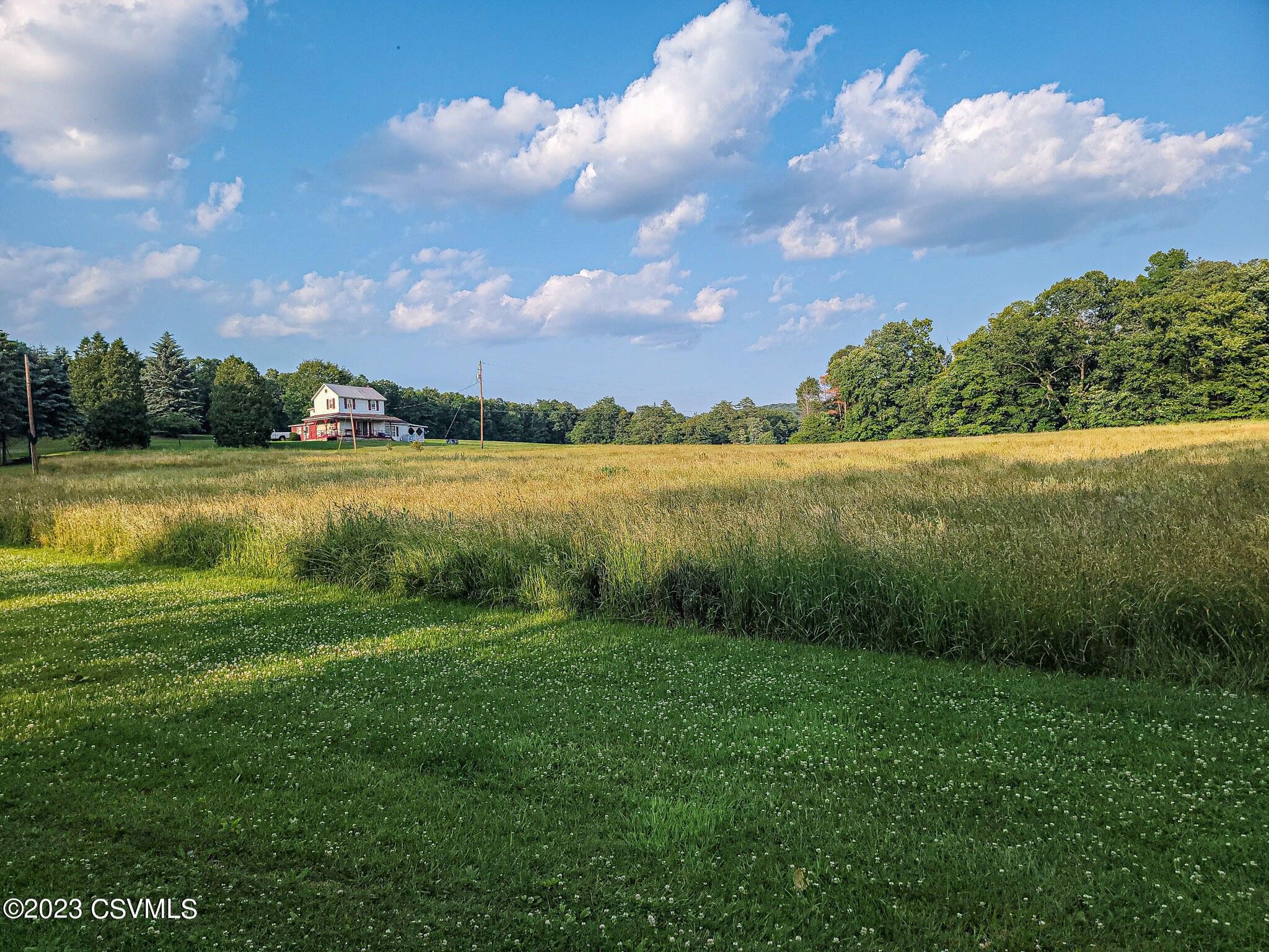 11.68 Acres, 772 MILL GROVE Road, Catawissa, PA 17820 Land and Farm
