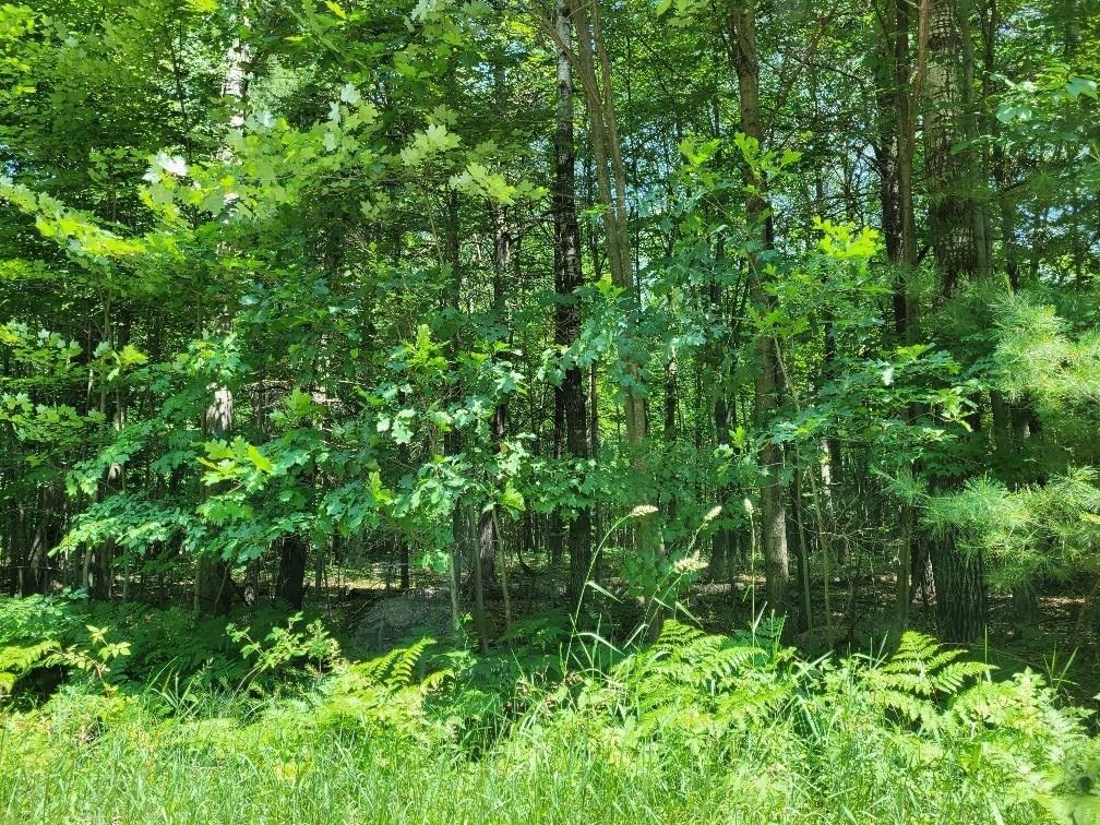 55 Acres, NHN McCauley, West Branch, MI 48661 Land and Farm