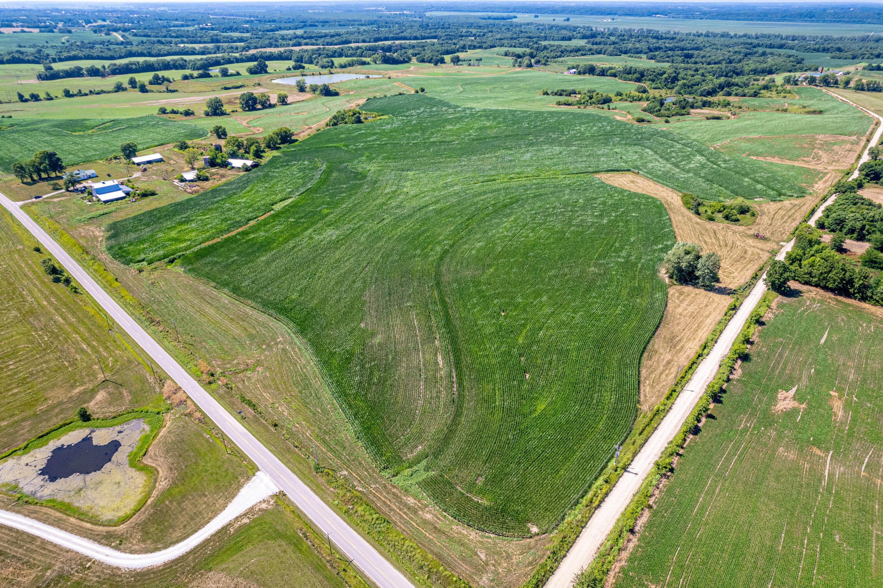 272.19 Acres, 21738 HIGHWAY 98, Boonville, MO 65233 Land and Farm