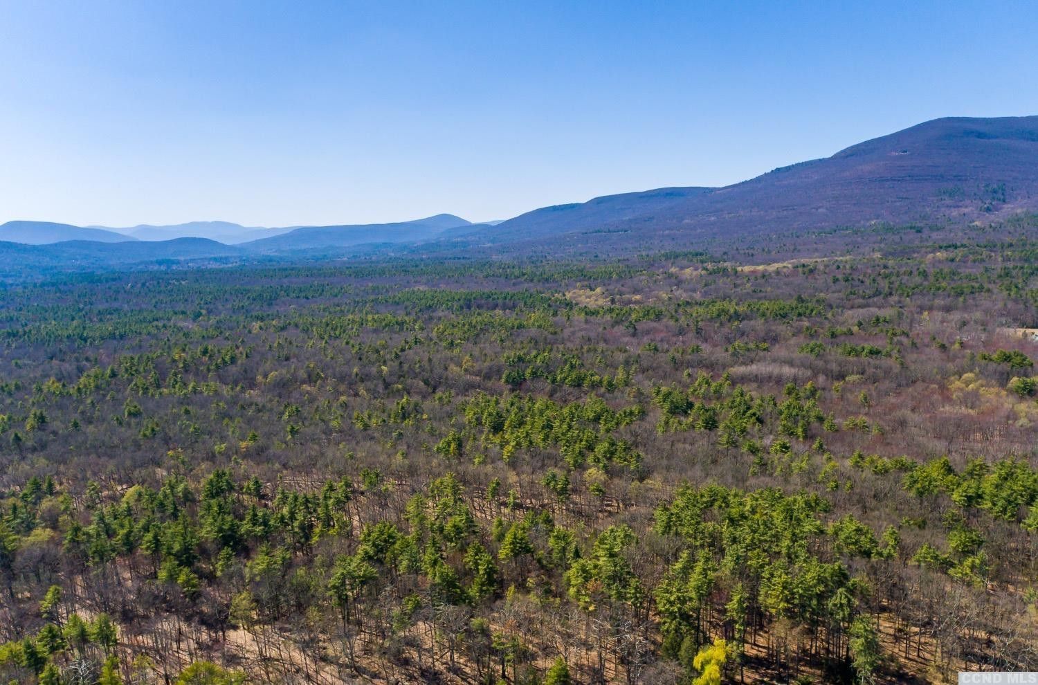 75.5 Acres, 0 Rt 212 & Cottontail, Woodstock, NY 12477 Land and Farm