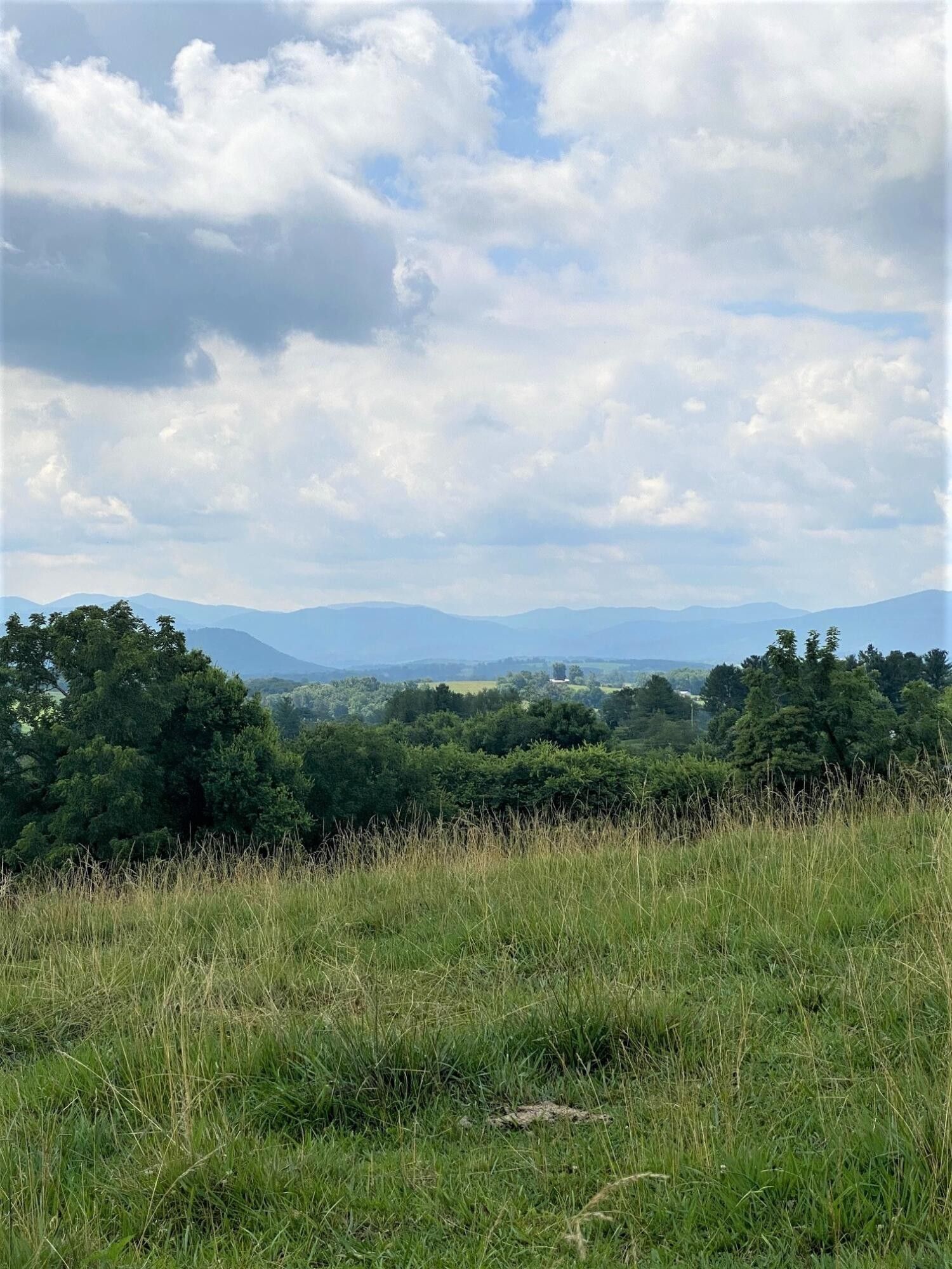 35 Acres, 000 Craft Lane, Greeneville, TN 37743 Land and Farm