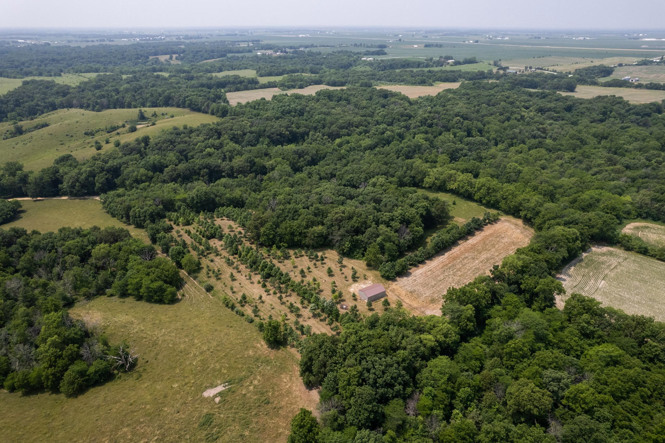 20 Acres, TBD 210th Street, LotWP001, Mediapolis, IA 52637 Land and Farm