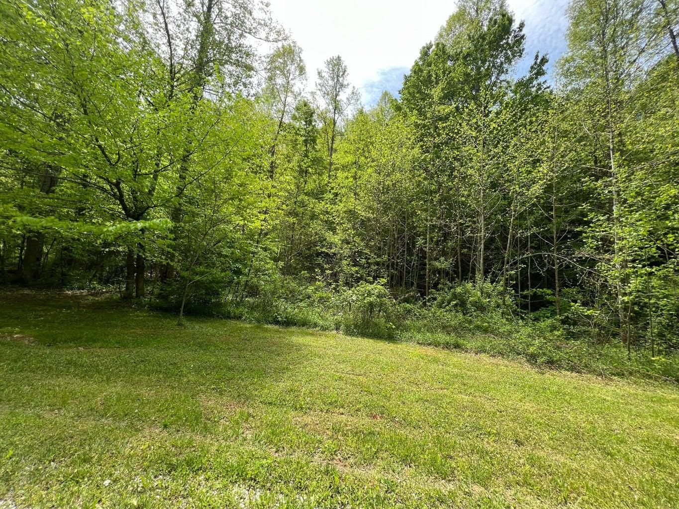 Old House Creek Rd, Morehead, KY 40351 MLS 23008761 Land and Farm