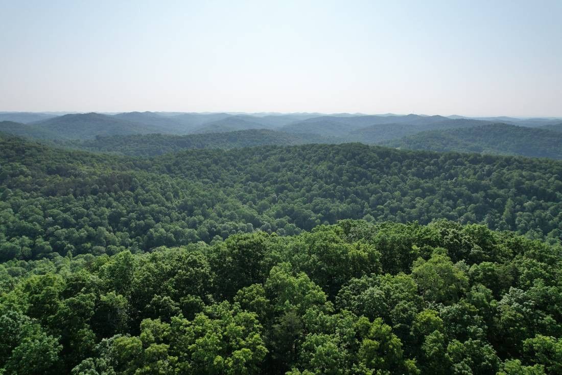 77 Acres, 0 Weirlong Road, Clendenin, WV 25045 Land and Farm