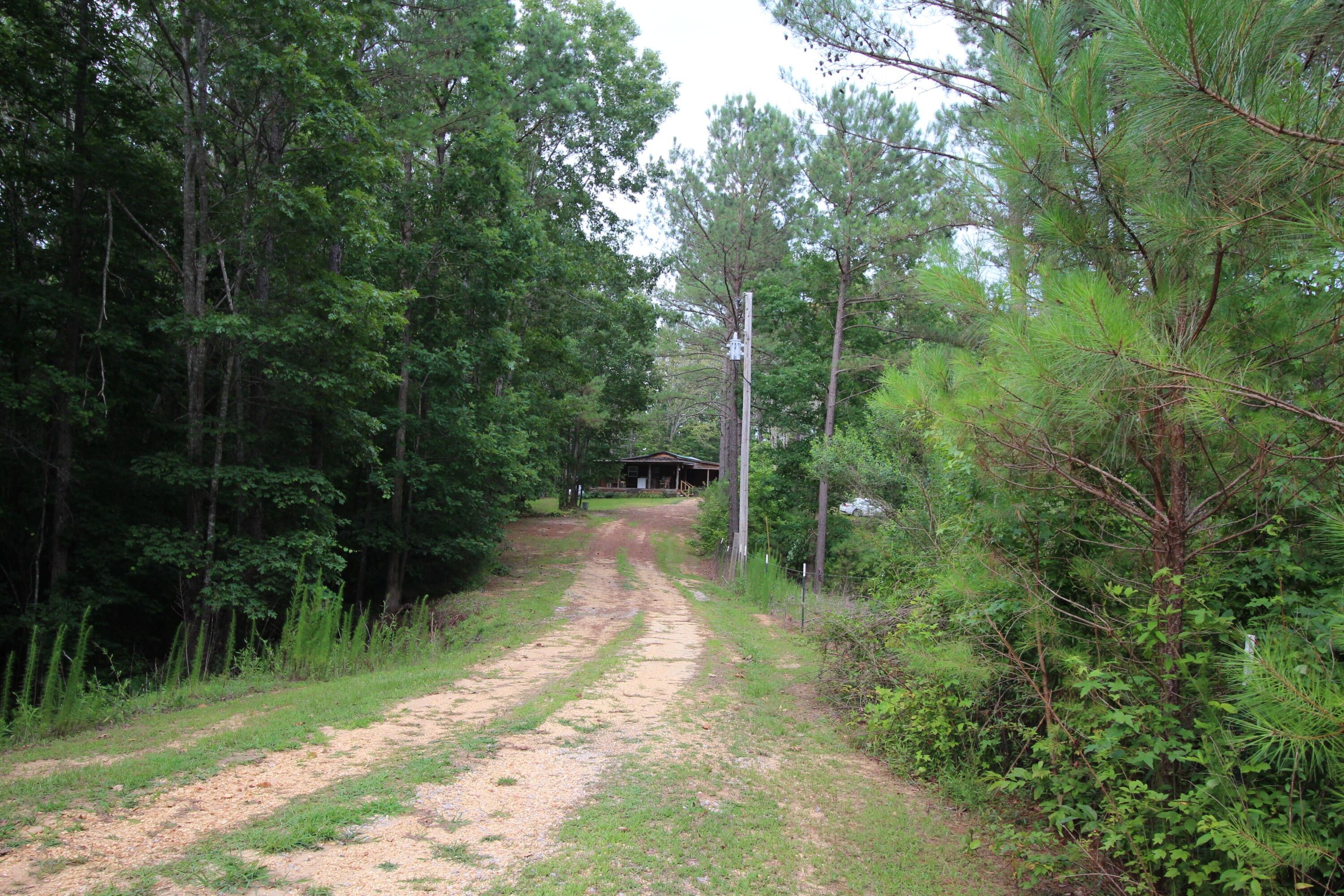 23.2 Acres, 22 Co Rd 141, Tishomingo, MS 38873 Land and Farm