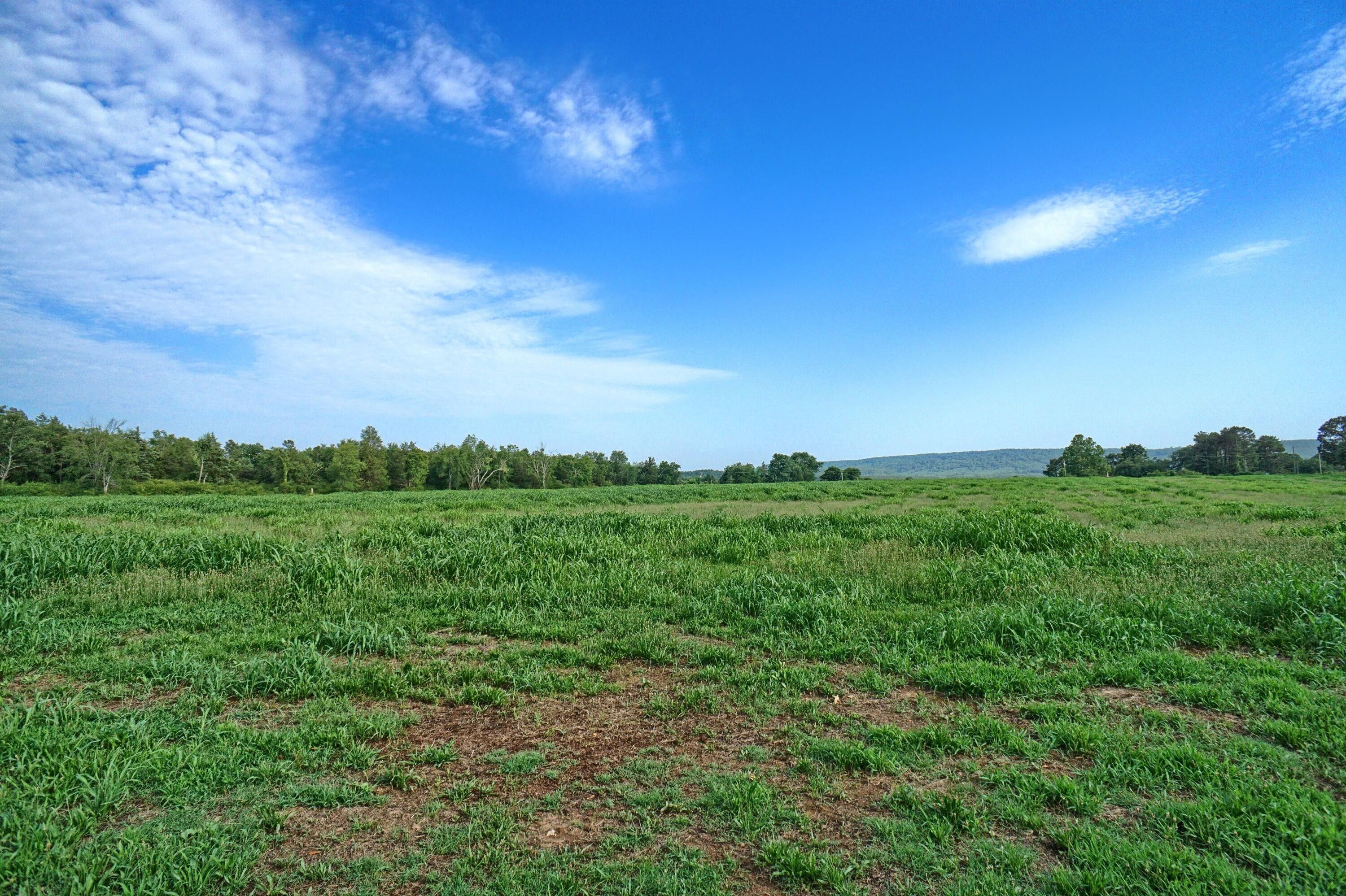 40 Acres, 40 Acres AR27, Hector, AR 72843 Land and Farm