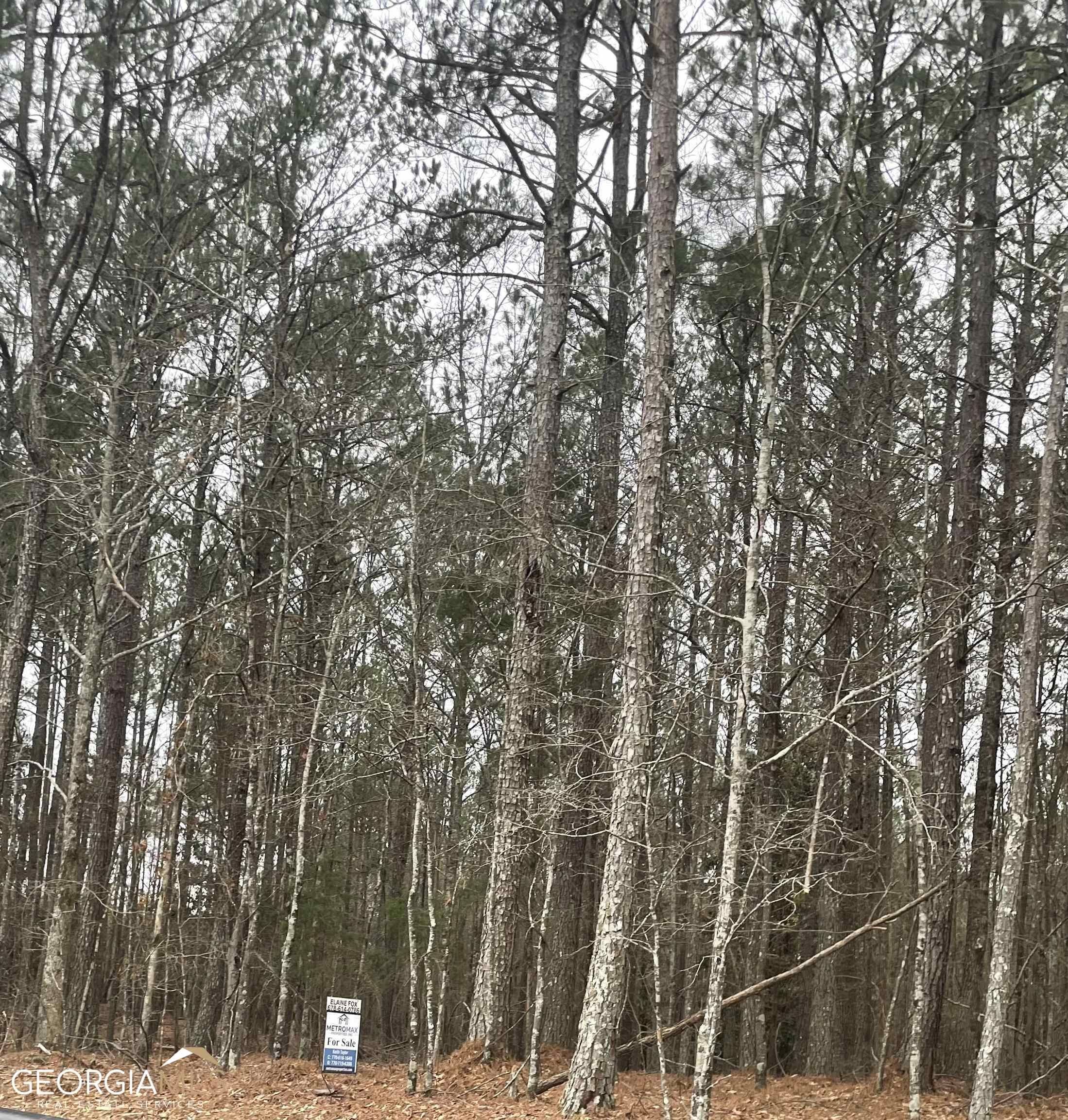 10.02 Acres, 0 Old Atlanta Newnan Road, Palmetto, GA 30268 Land and Farm