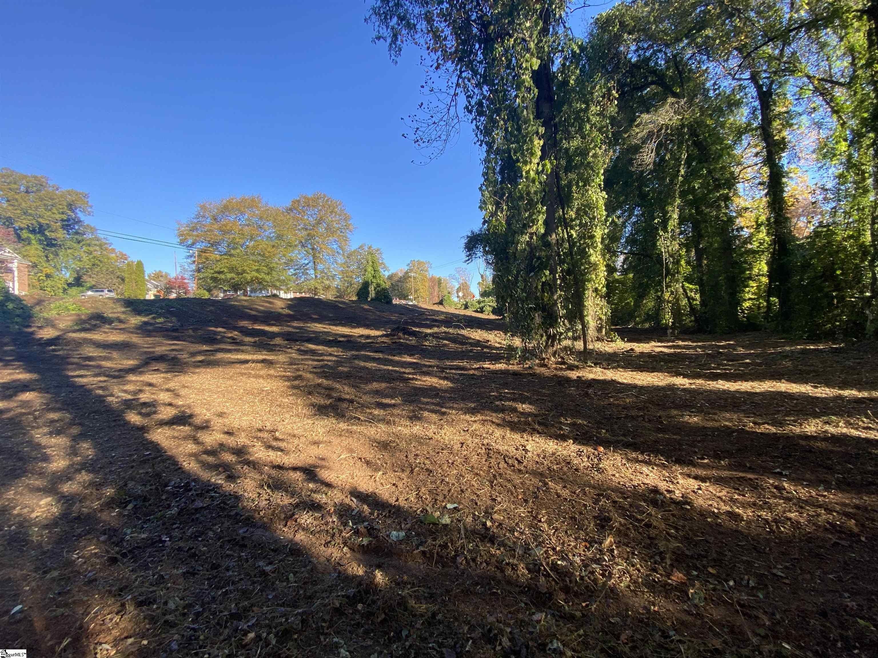 1.13 Acres, 105 California Avenue, Chesnee, SC 29323 Land and Farm