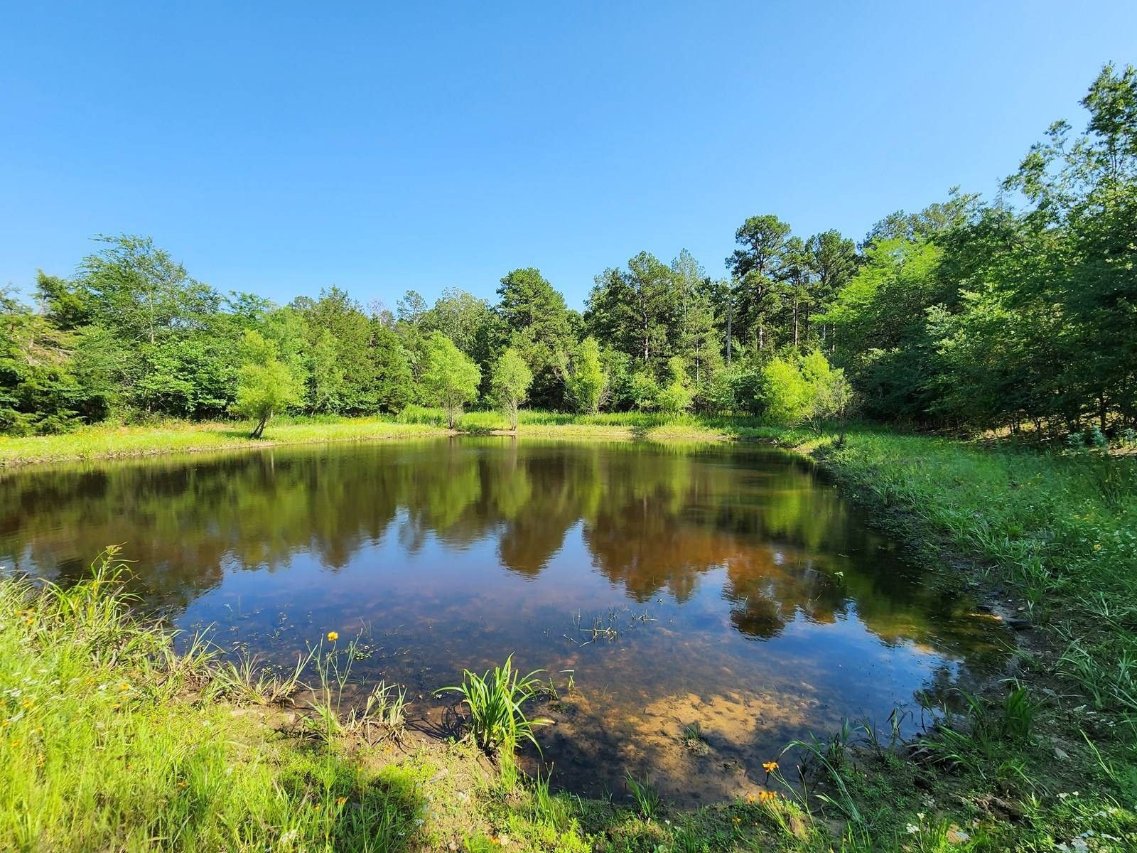 10 Acres, 0 No Physical Address, Talihina, OK 74571 Land and Farm