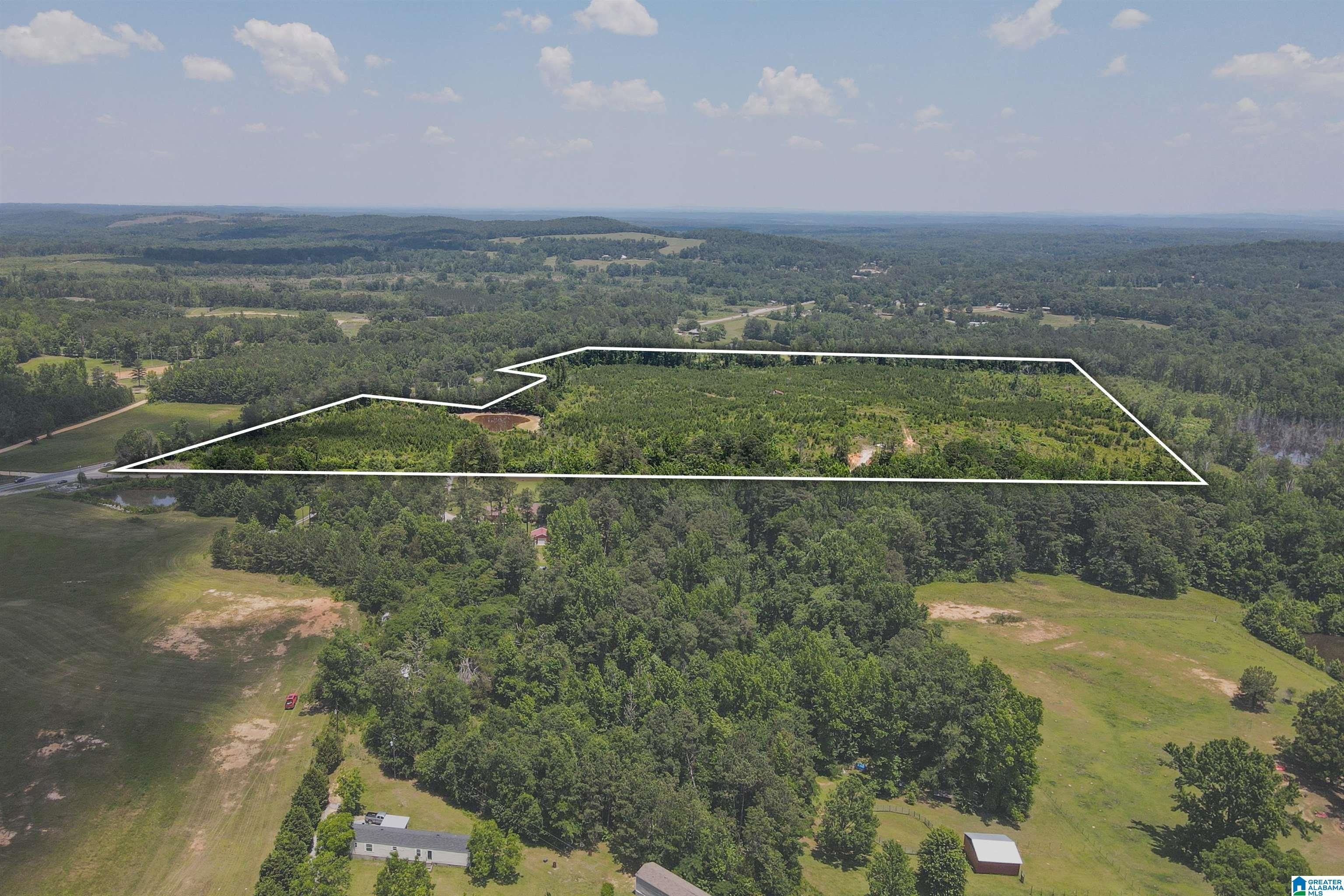 43 Acres, 0 HIGHWAY 145, Clanton, AL 35046 Land and Farm