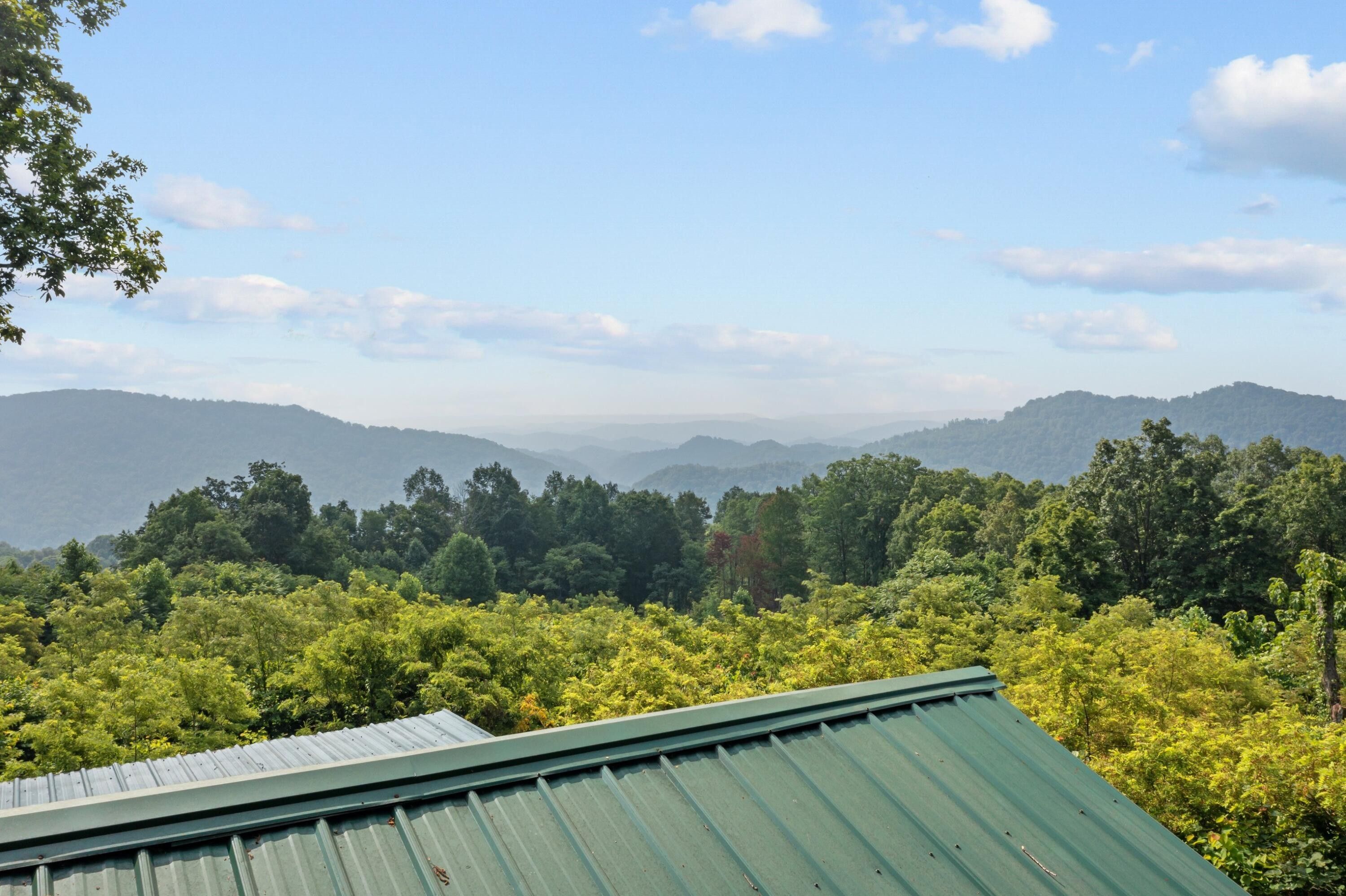 42.93 Acres, Tbd Johnson ROAD, Sneedville, TN 37869 Land and Farm