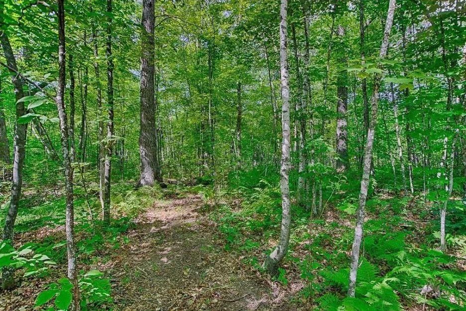 0.16 Acres, 373 White Fish Road, Garrison, MN 56450 Land and Farm