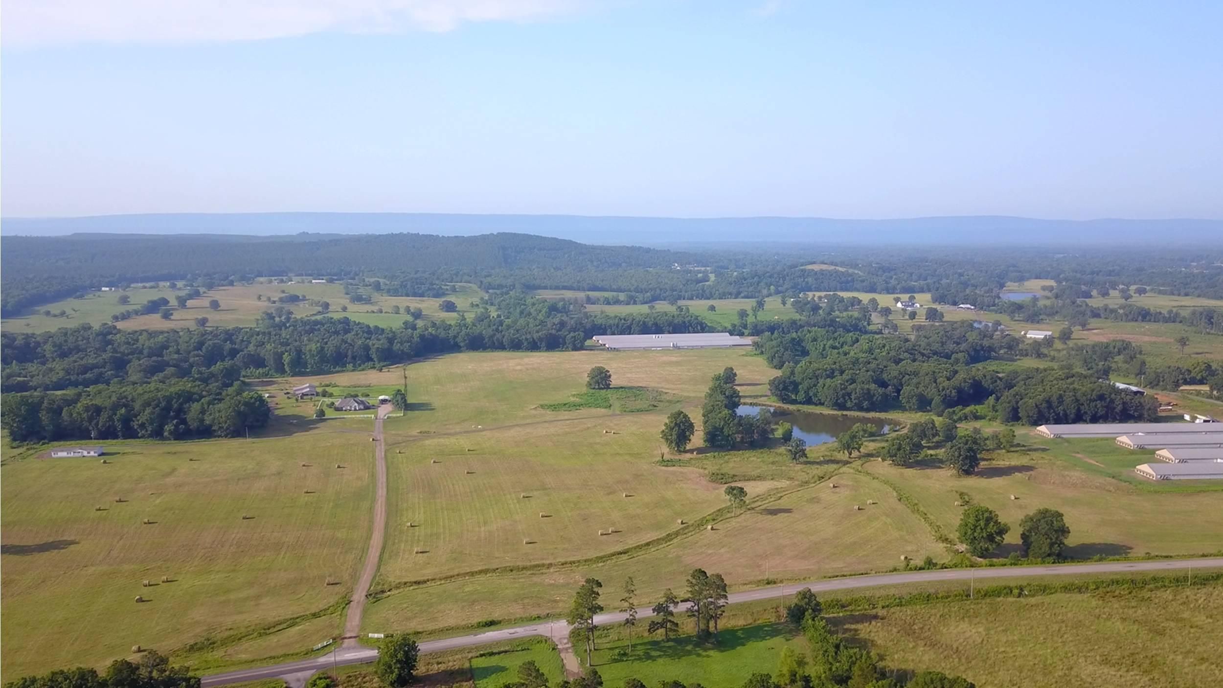 133 acres in Ola, AR, 72853 MLS 2800000 Land and Farm