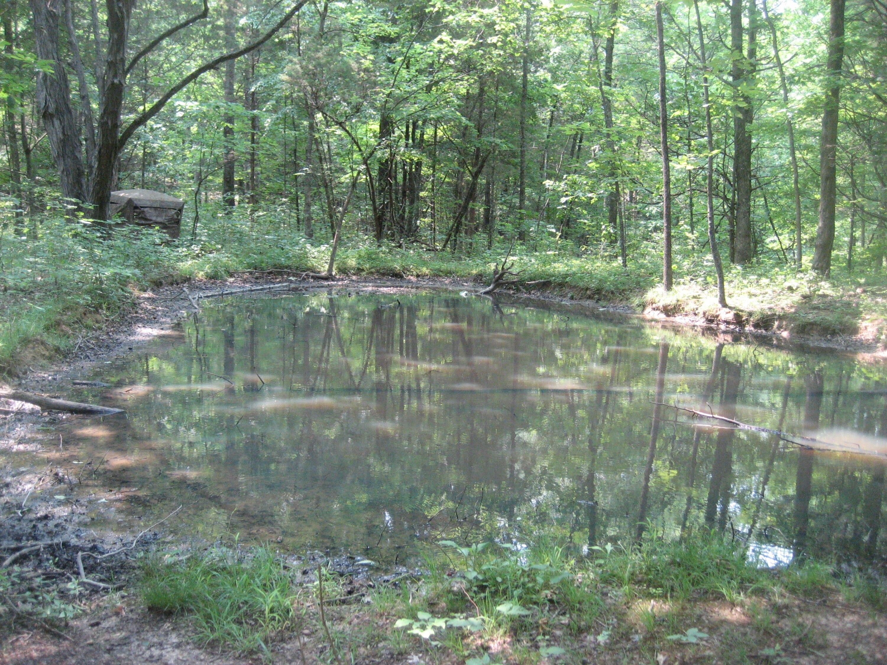 73 Acres, 250 Mt Zion Road, Frankfort, KY 40601 Land and Farm