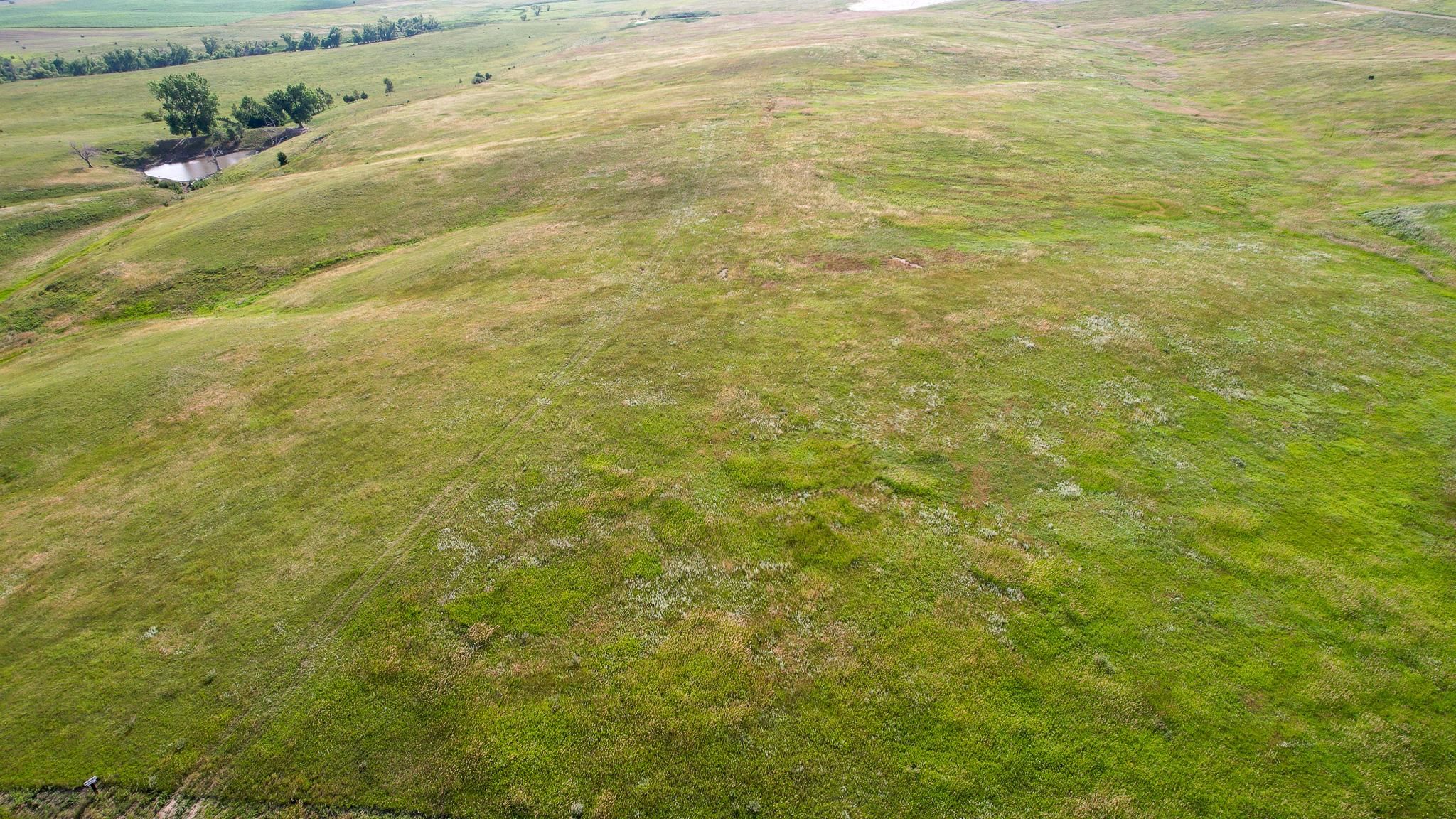 40 Acres, 28873 342nd Avenue, Burke, SD 57533 Land and Farm