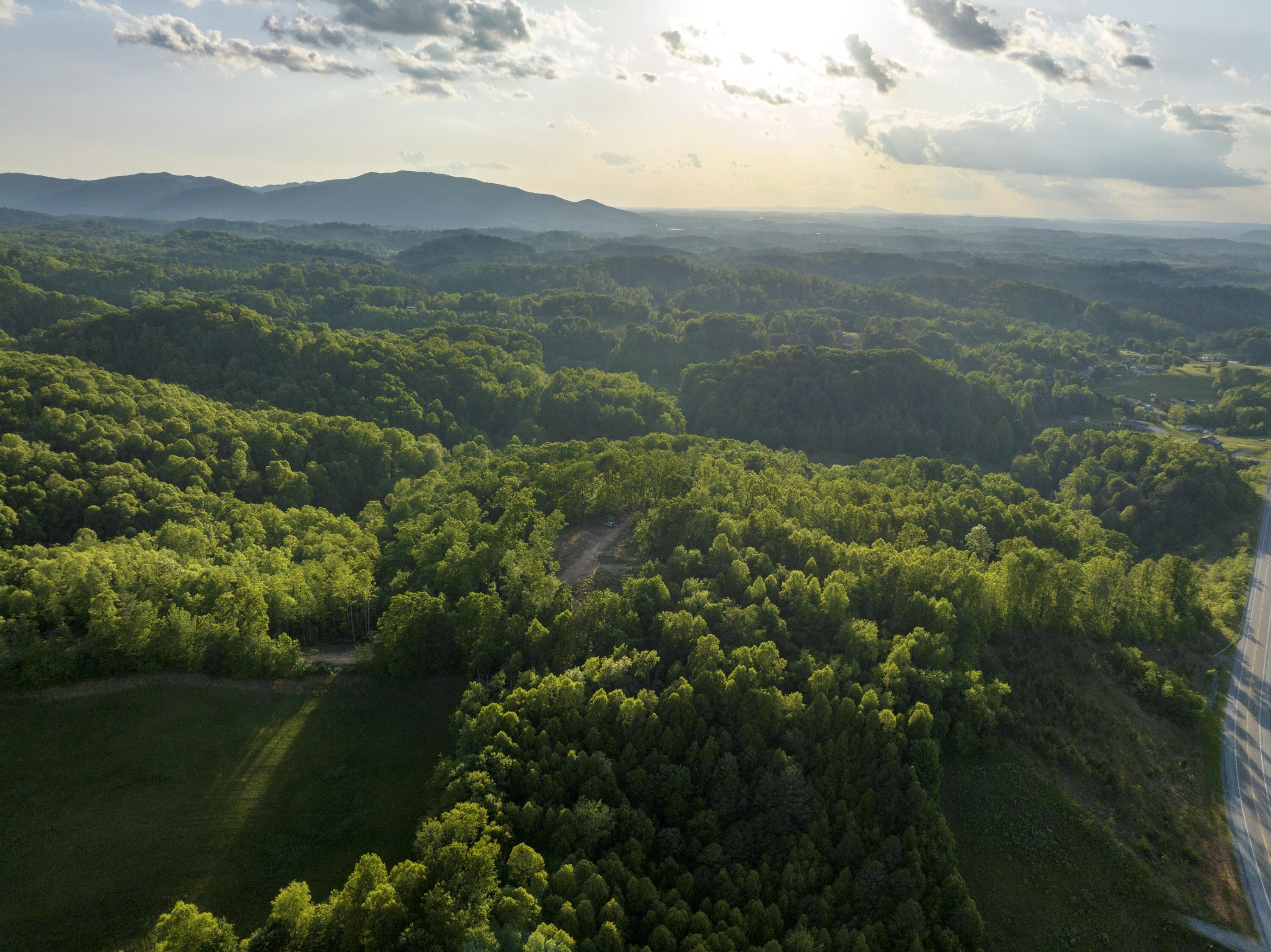 18.11 Acres, 200 Tester Road, Elizabethton, TN 37643 Land and Farm