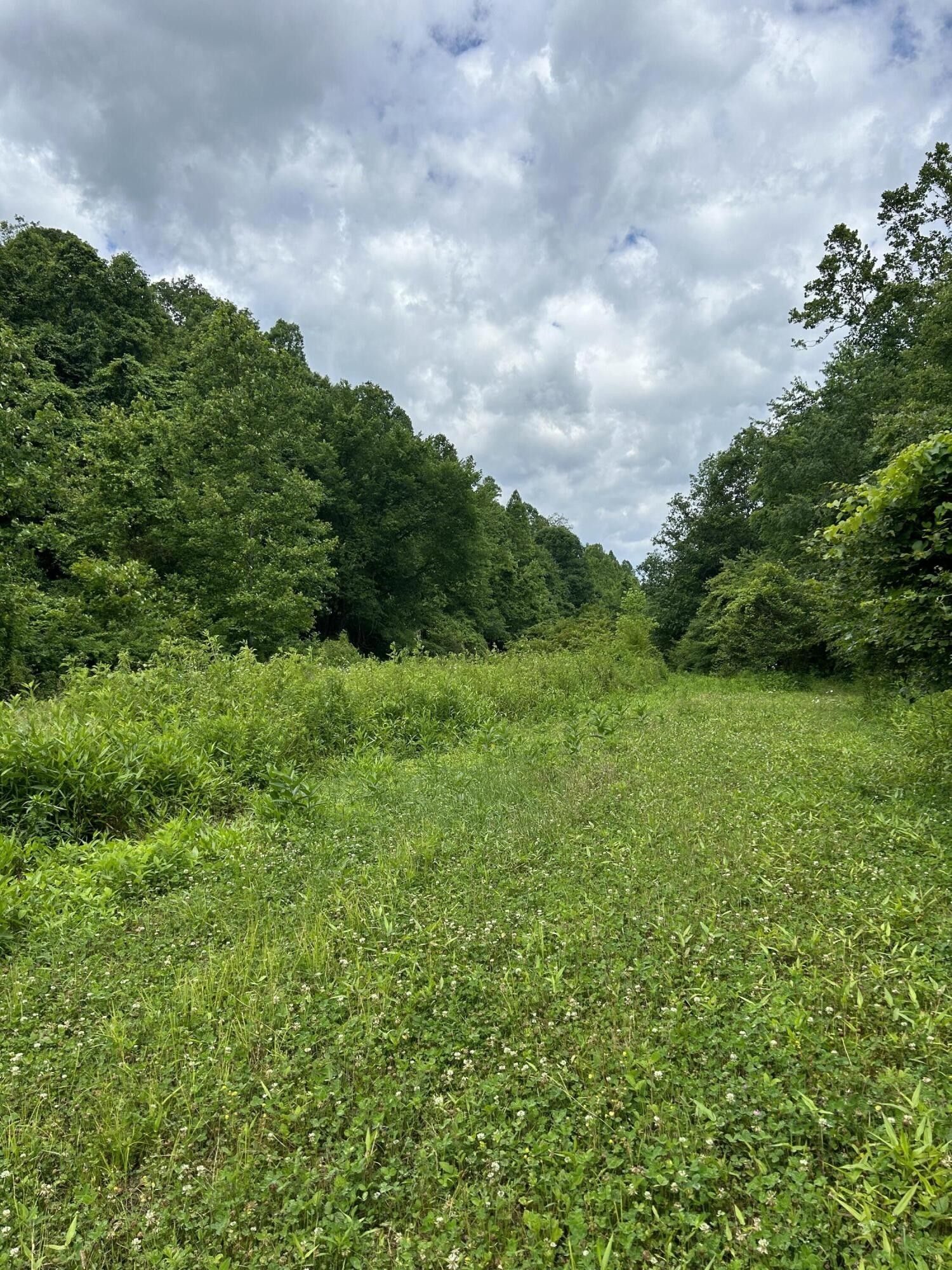 75 Acres, 0 Rock Run, Vanceburg, KY 41179 Land and Farm