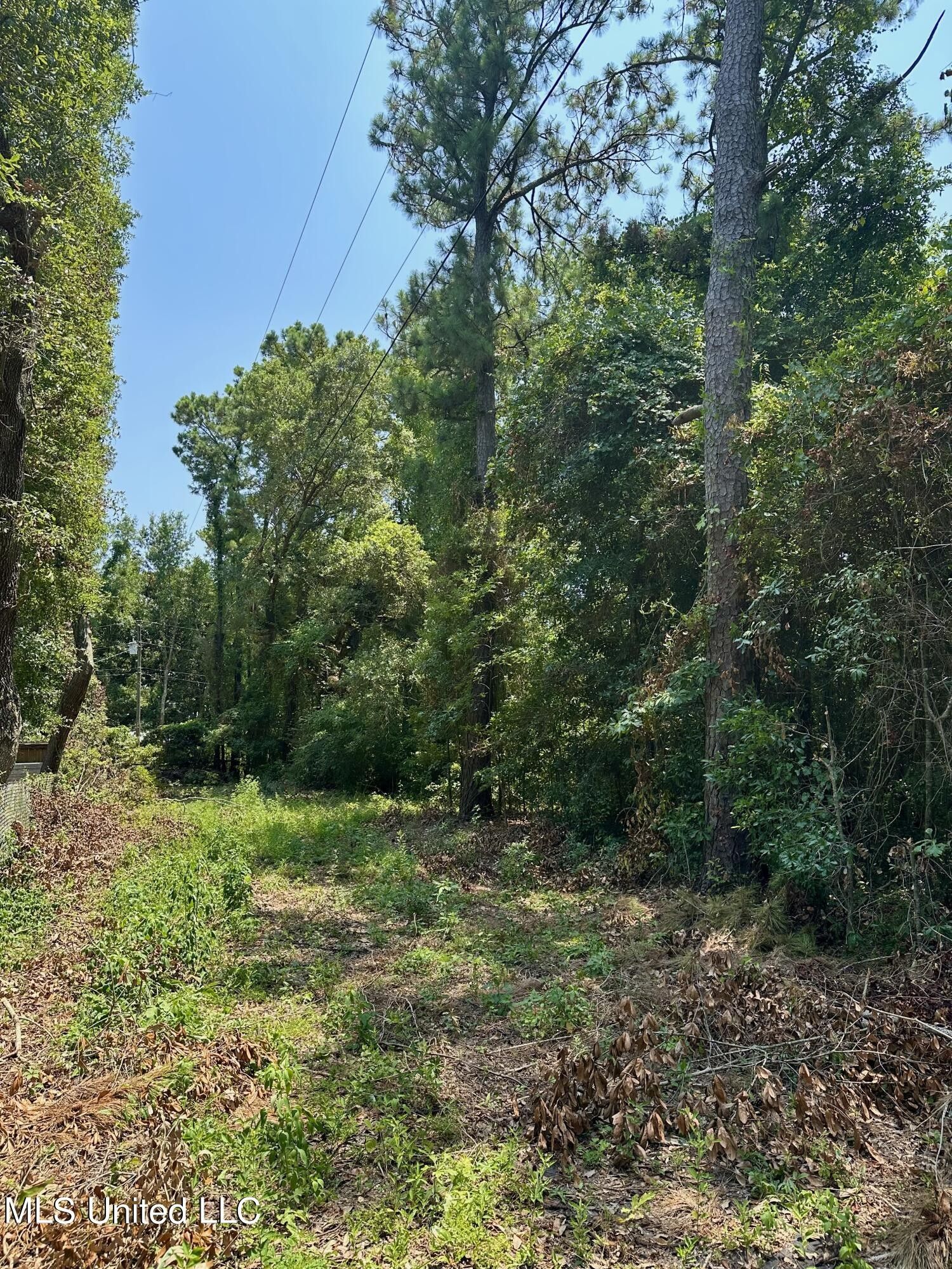 749 Blackledge Lane, Biloxi, MS 39532 MLS 4051960 Land and Farm