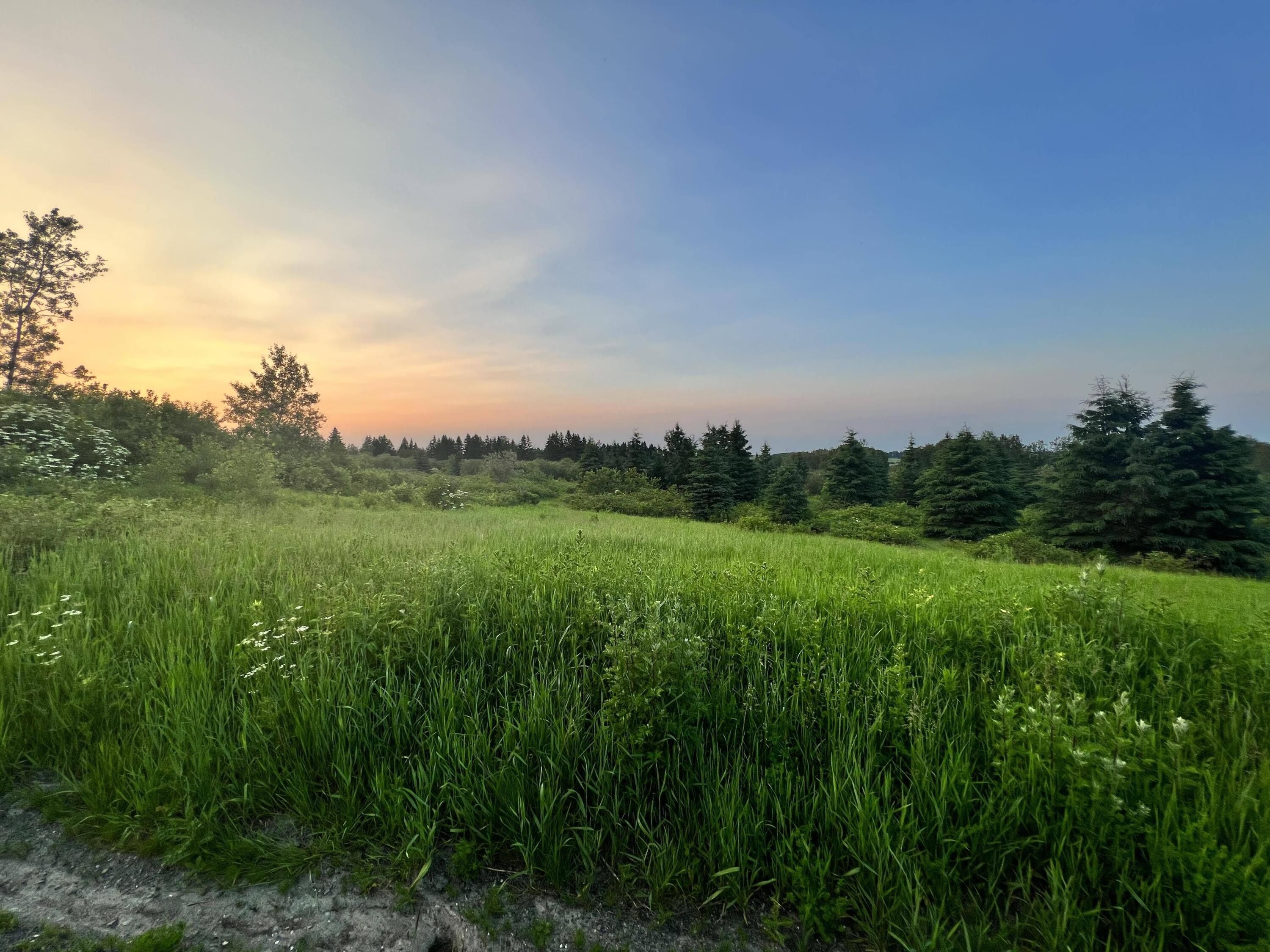 52 Acres, M1l28 Flat Mountain Road, Saint Agatha, ME 04772 Land and Farm