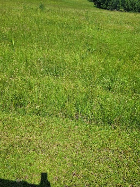 0 MINGO BRACEY Road, Hayneville, AL 36040 MLS 541644 Land and Farm