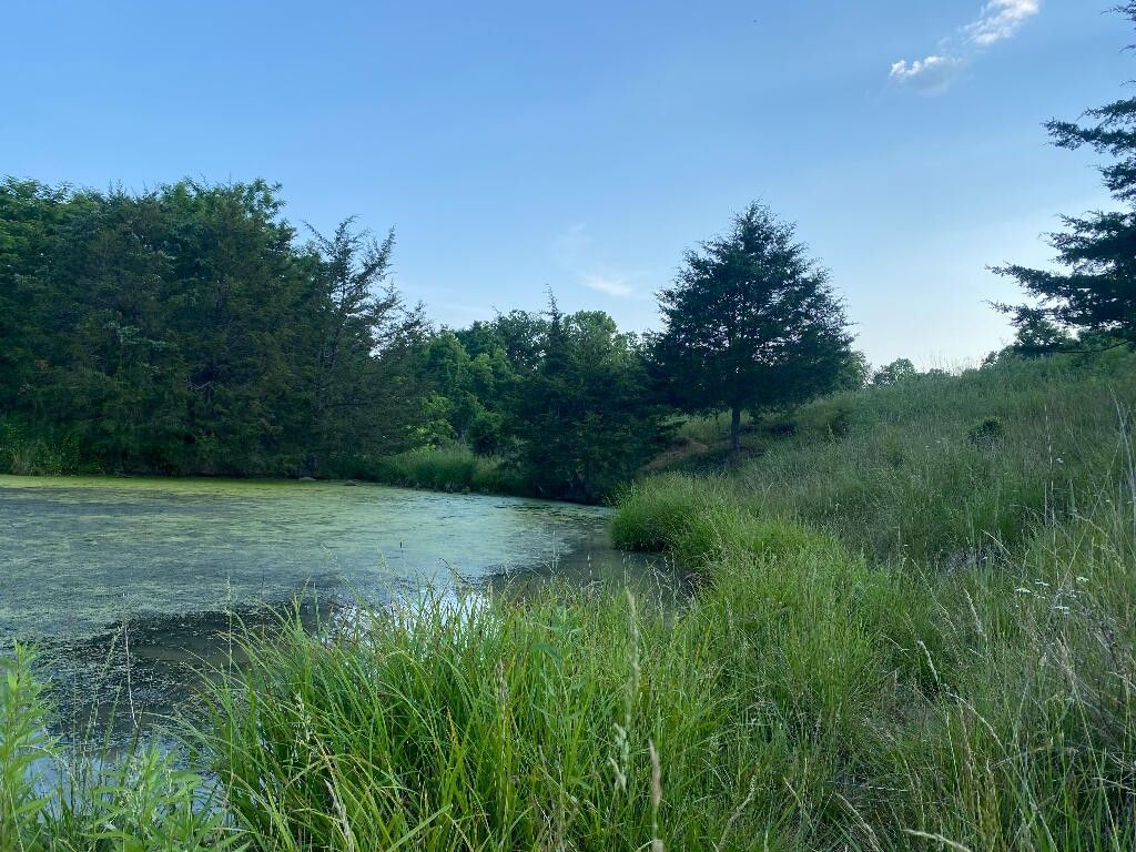 25.75 Acres, 1849 Tea Run Road, Ewing, KY 41039 Land and Farm